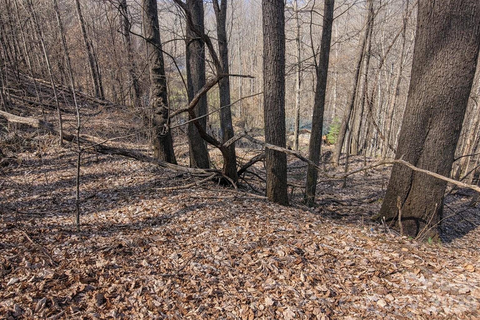 4 Buckeye RD #63, Maggie Valley, NC 28751