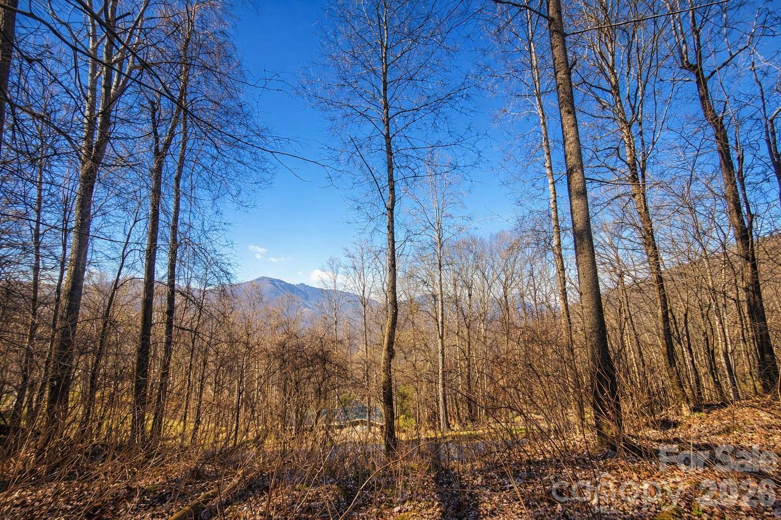 4 Buckeye RD #63, Maggie Valley, NC 28751
