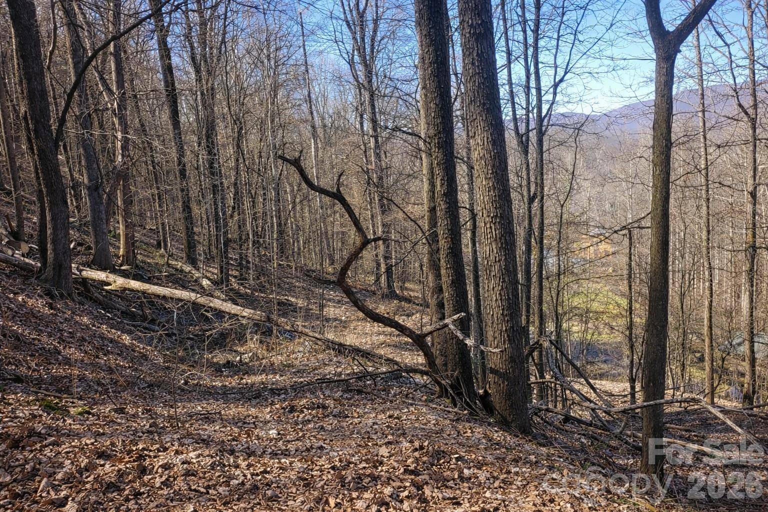 4 Buckeye RD #63, Maggie Valley, NC 28751