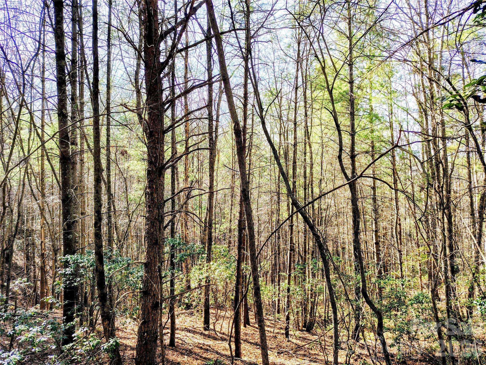 10 Acres Tahoe TRL, Collettsville, NC 28611