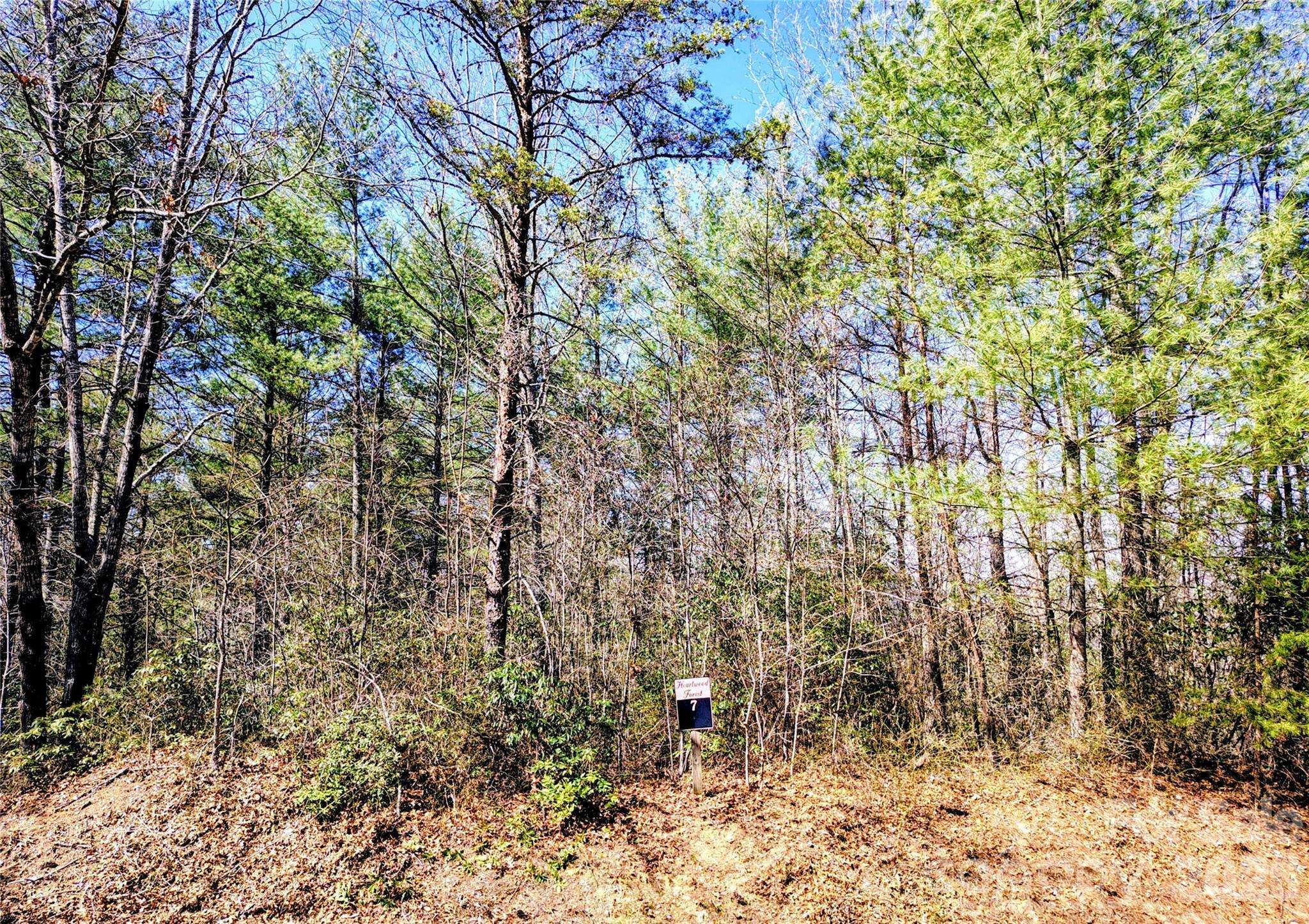 10 Acres Tahoe TRL, Collettsville, NC 28611