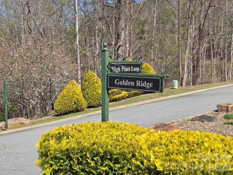 600 High Pines LOOP, Lake Lure, NC 28746
