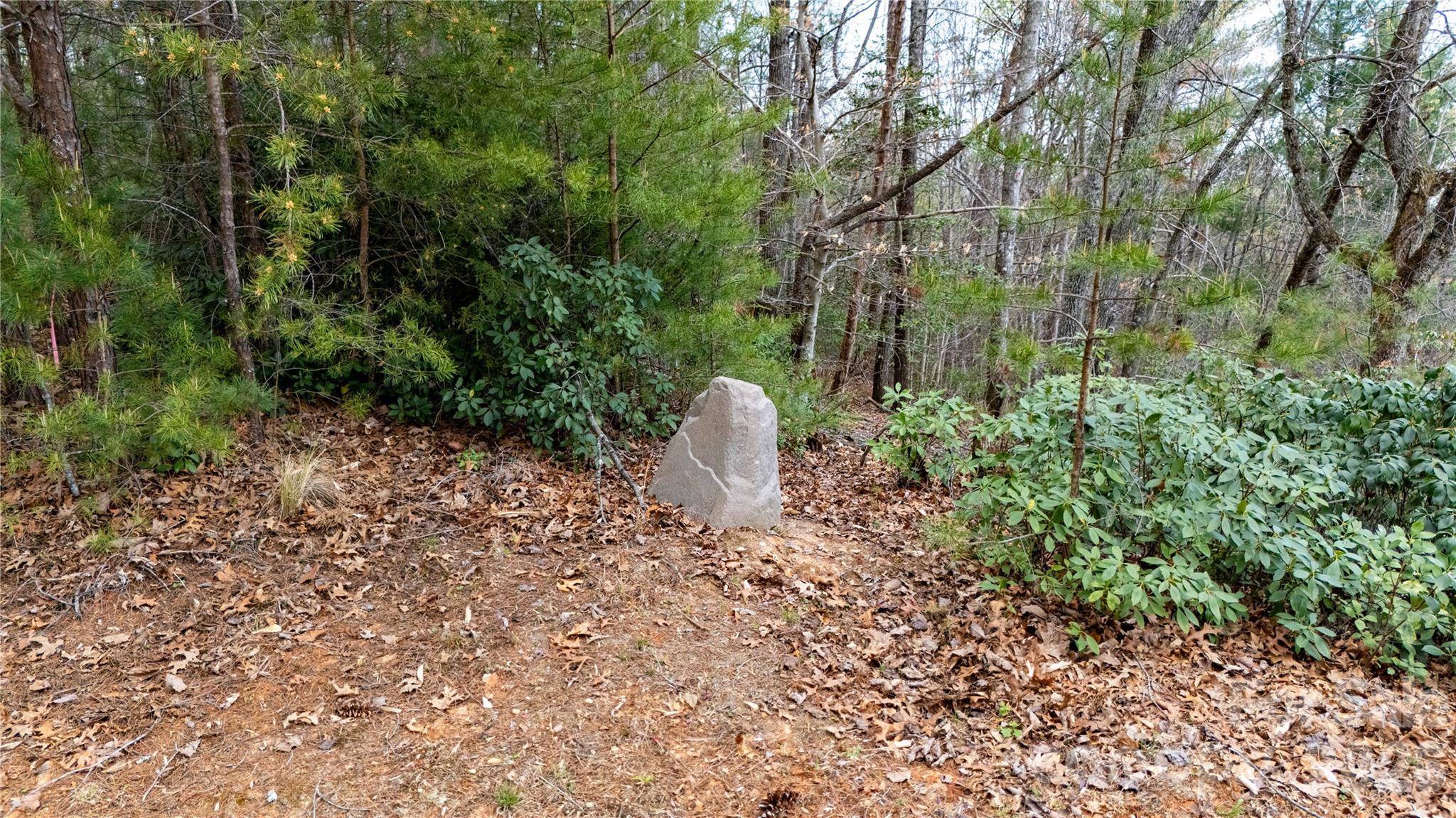 0000 High Trail DR, Nebo, NC 28761