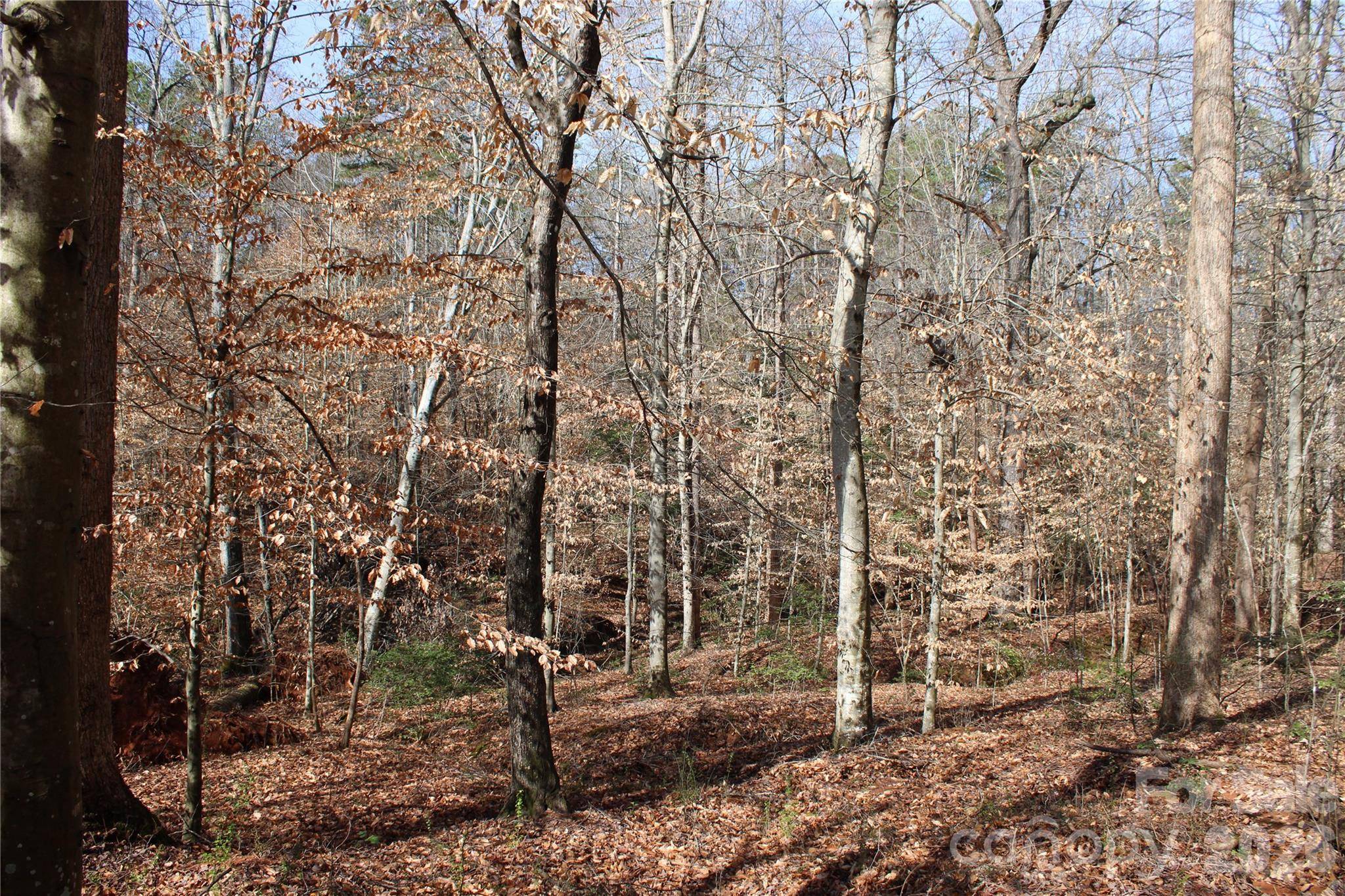 Lot 13 Weatherfield DR #13, Lincolnton, NC 28092