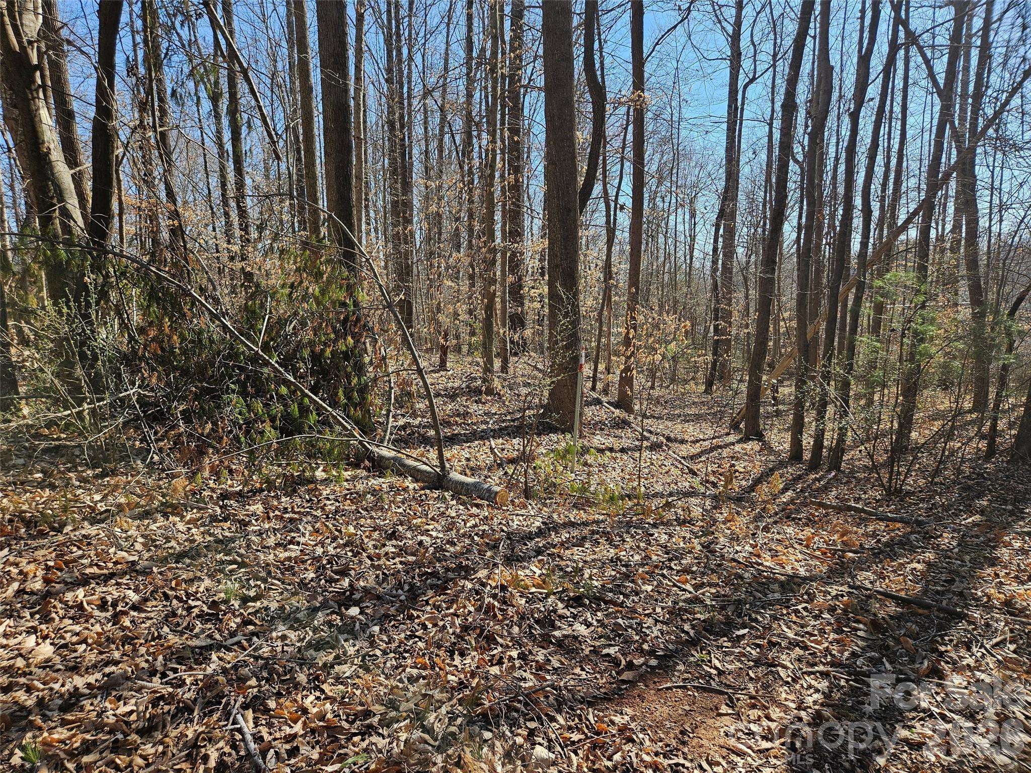 0 General Griffith CIR #37, Rutherfordton, NC 28139