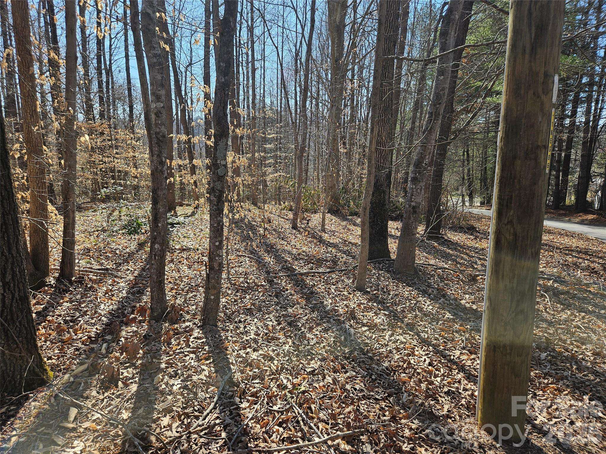 0 General Griffith CIR #37, Rutherfordton, NC 28139