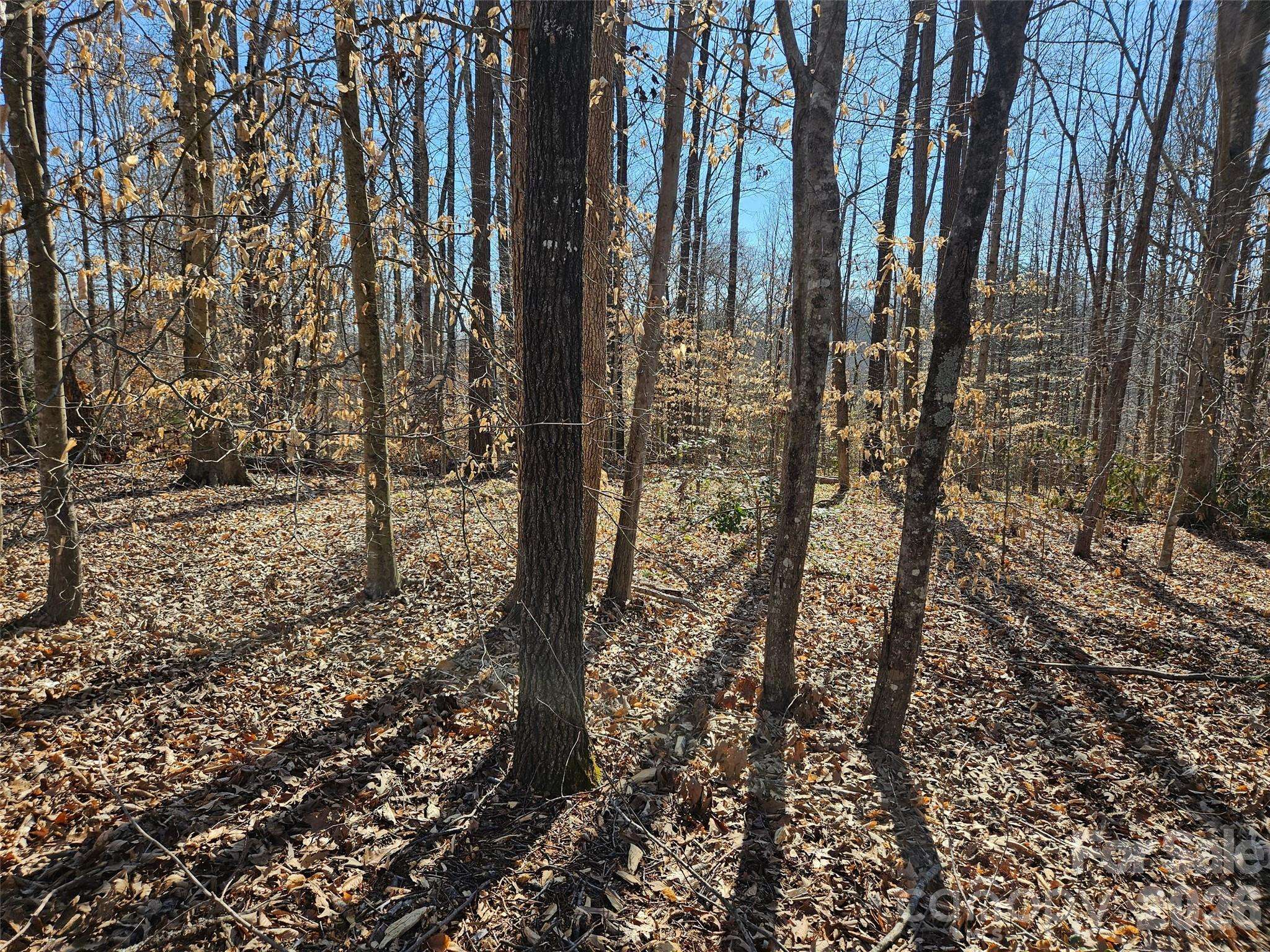 0 General Griffith CIR #37, Rutherfordton, NC 28139