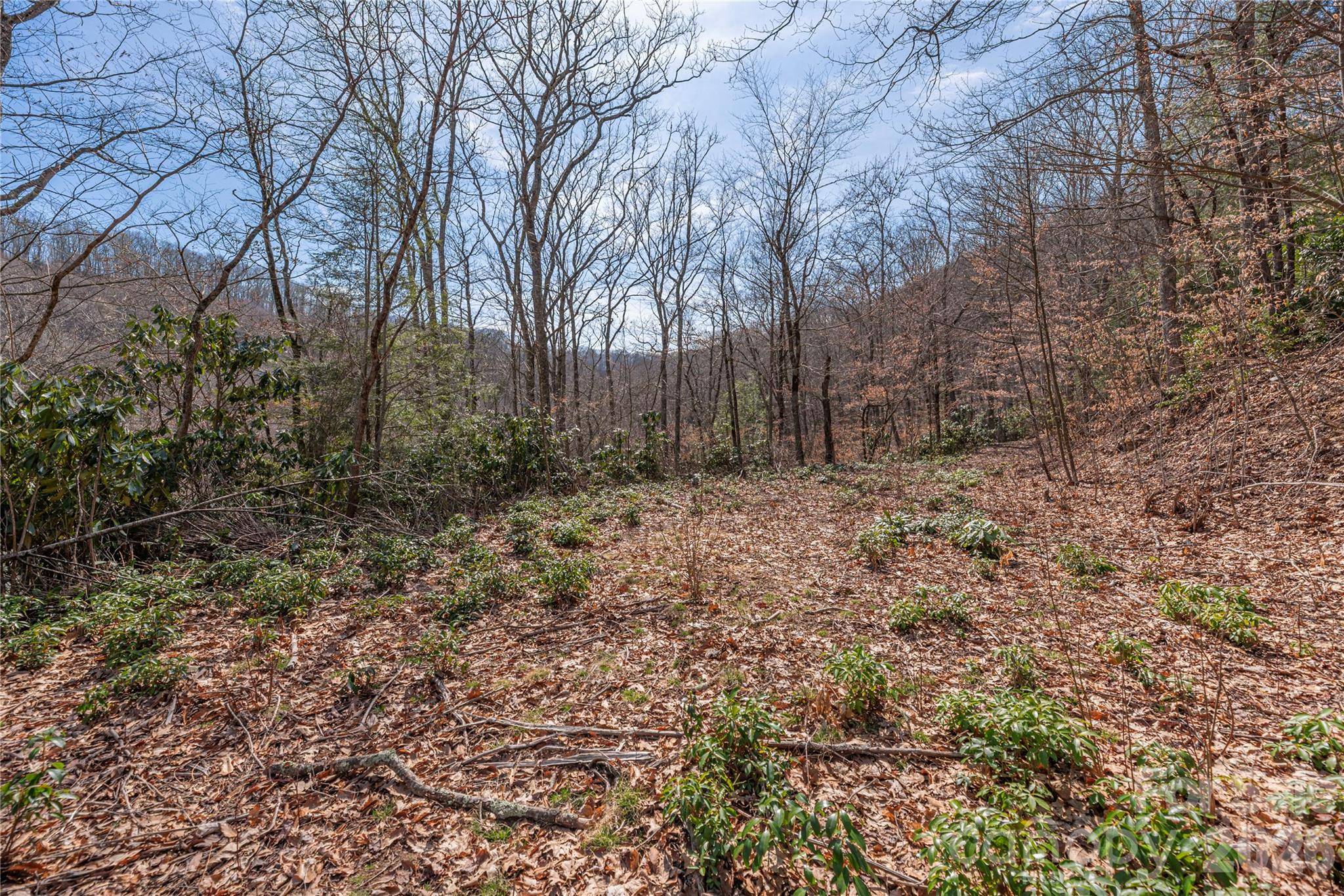 00 Autumn DR, Maggie Valley, NC 28751