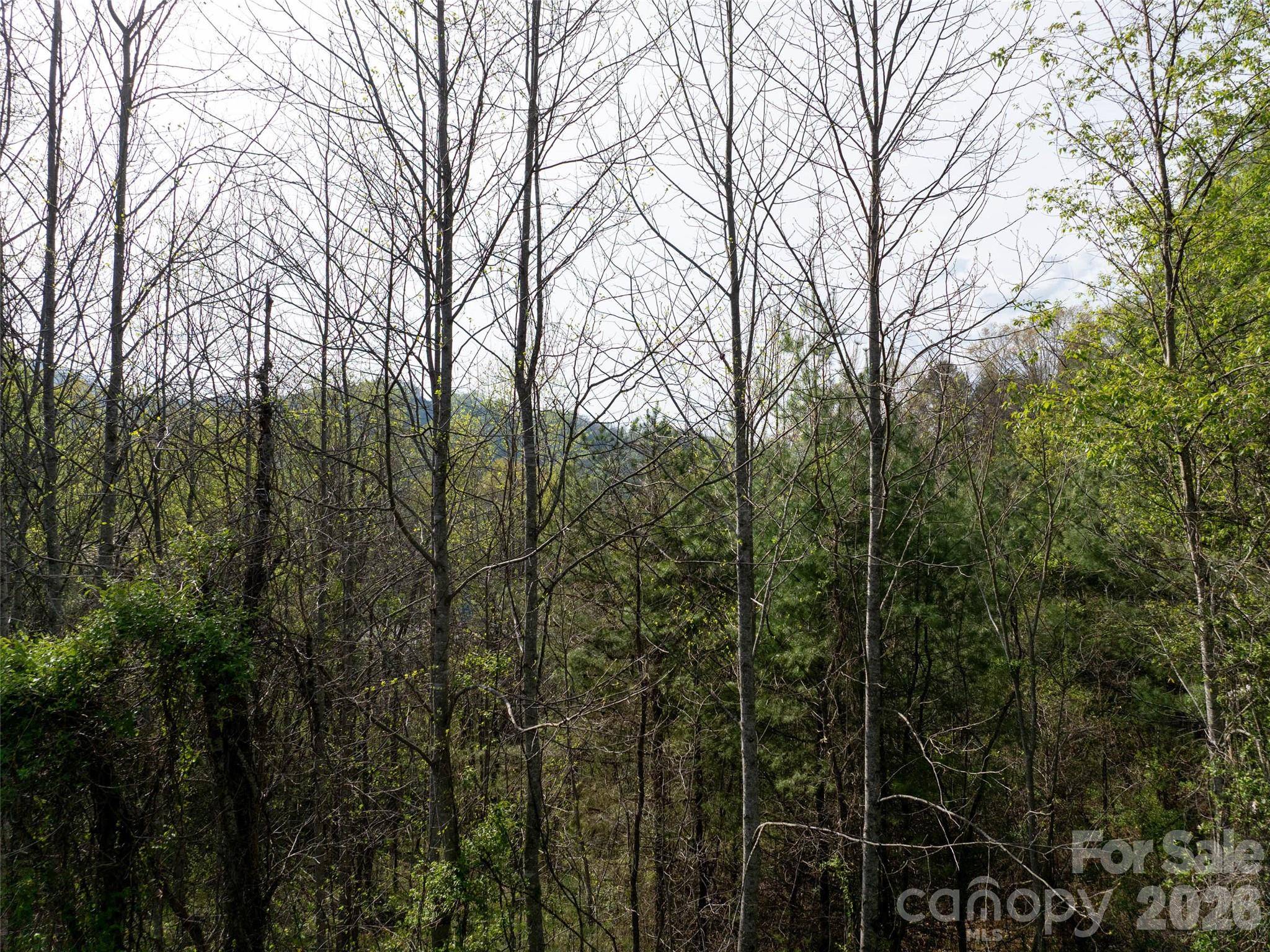 Lot 38 Sunnybrook TRL, Clyde, NC 28721