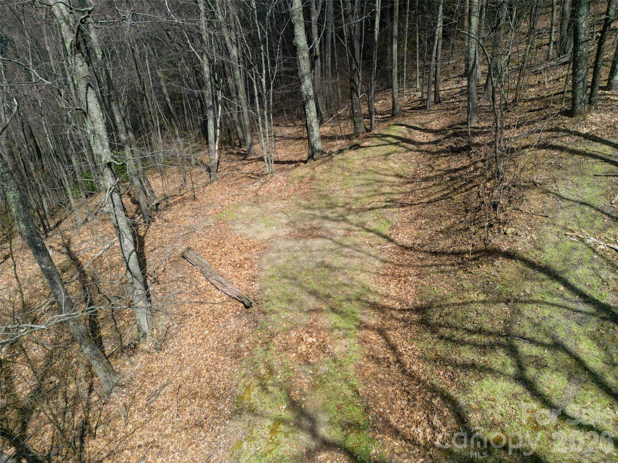 0 Legend RD #18, Waynesville, NC 28786