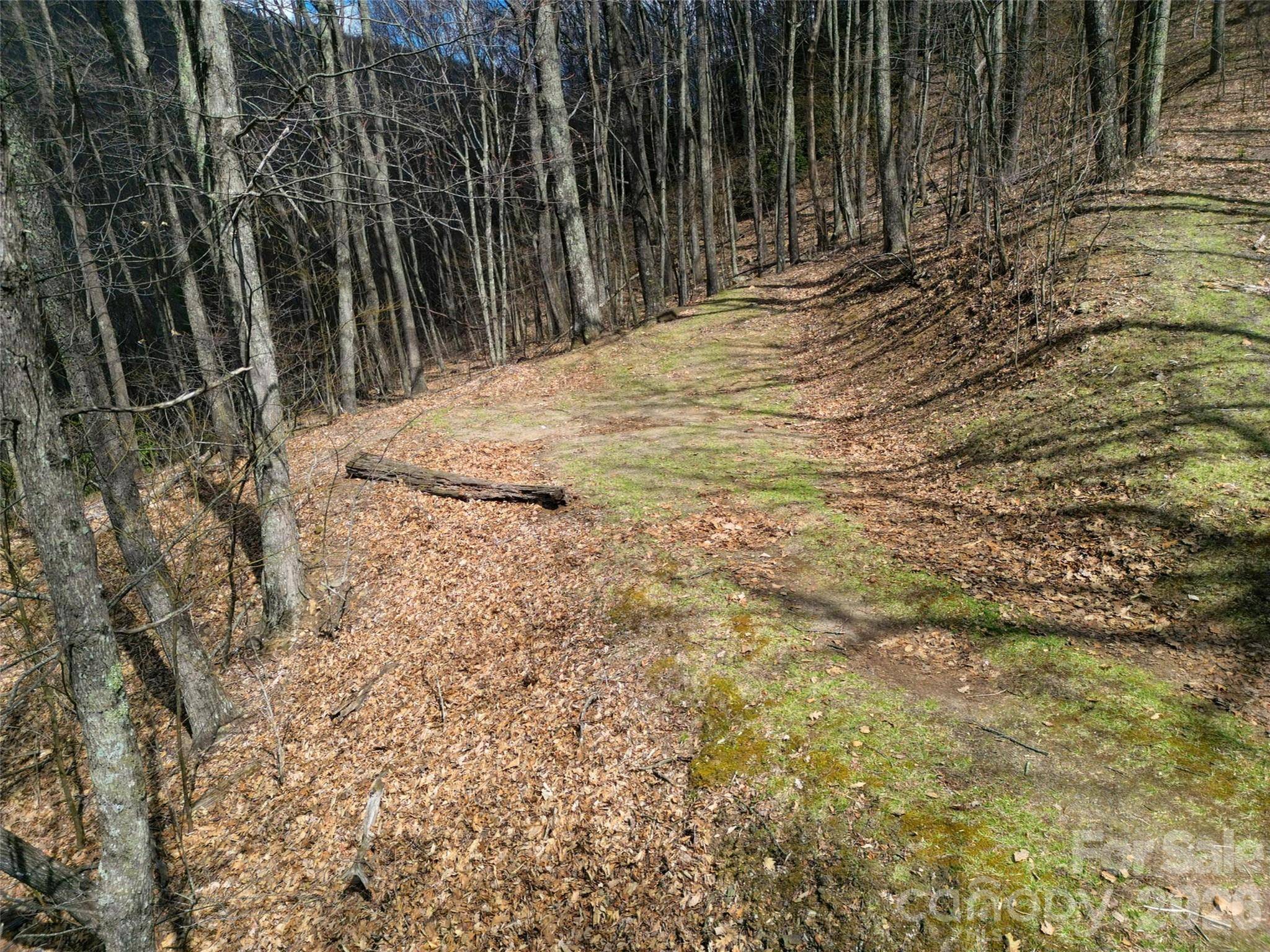 0 Legend RD #18, Waynesville, NC 28786