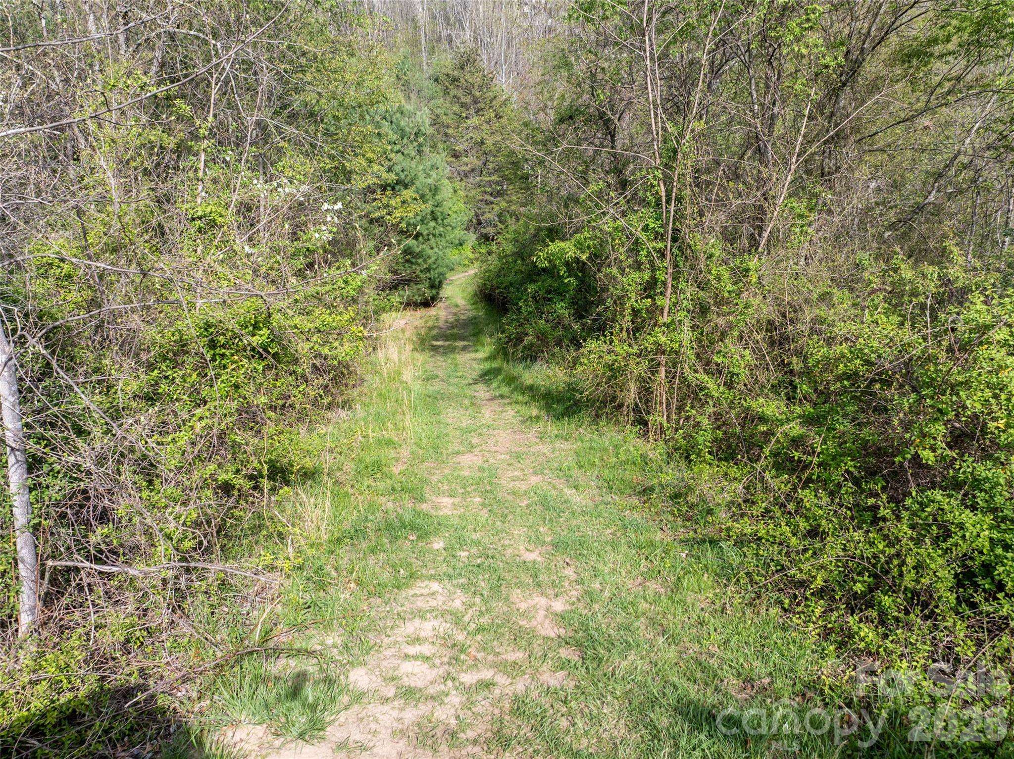Lot 42 Sunnybrook TRL, Clyde, NC 28721