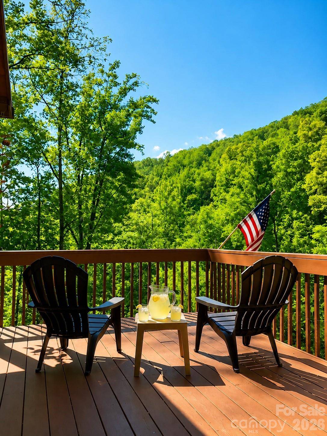 420 Chimney Rock DR, Weaverville, NC 28787