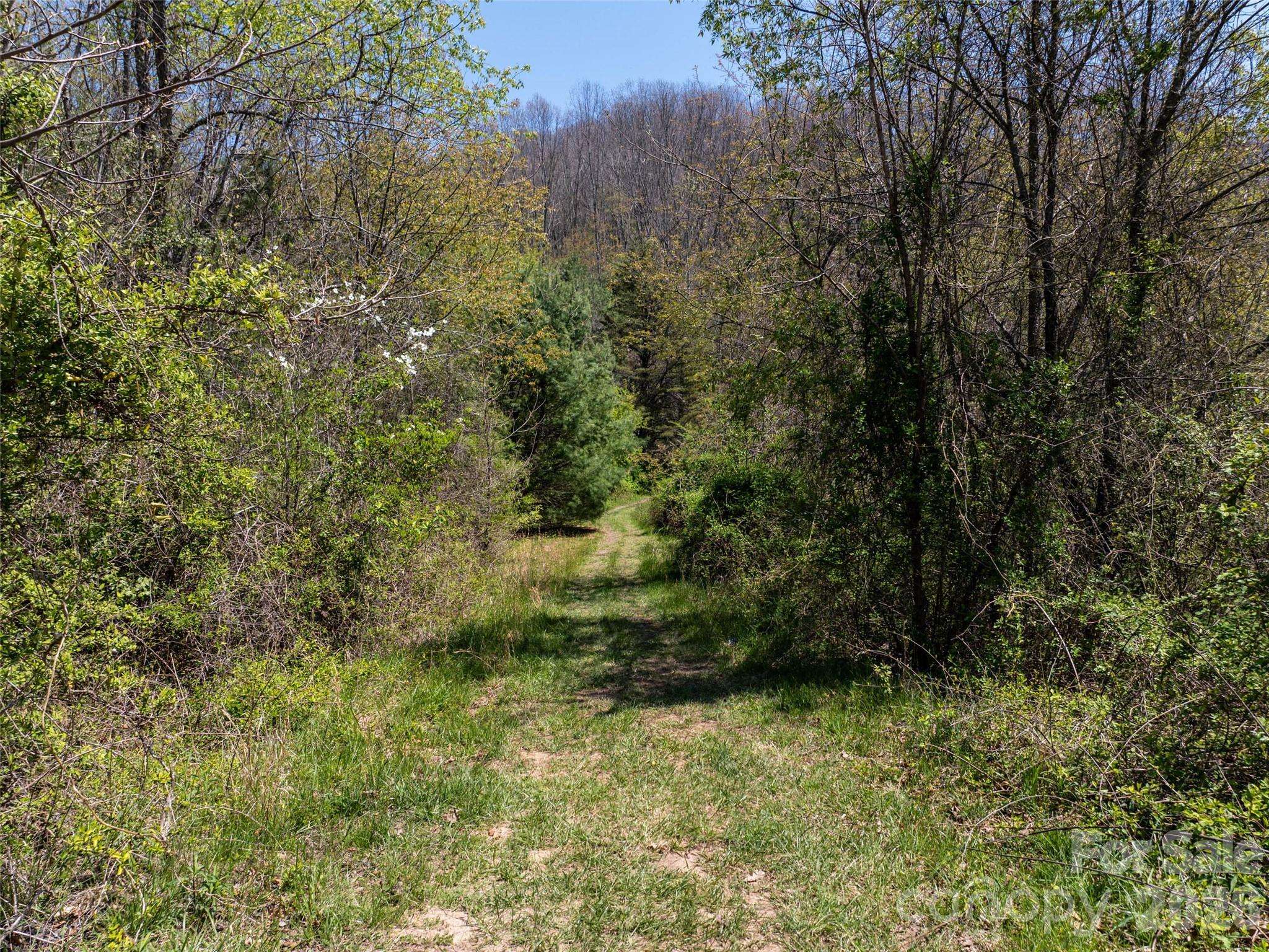 Lot 43 Sunnybrook TRL, Clyde, NC 28721