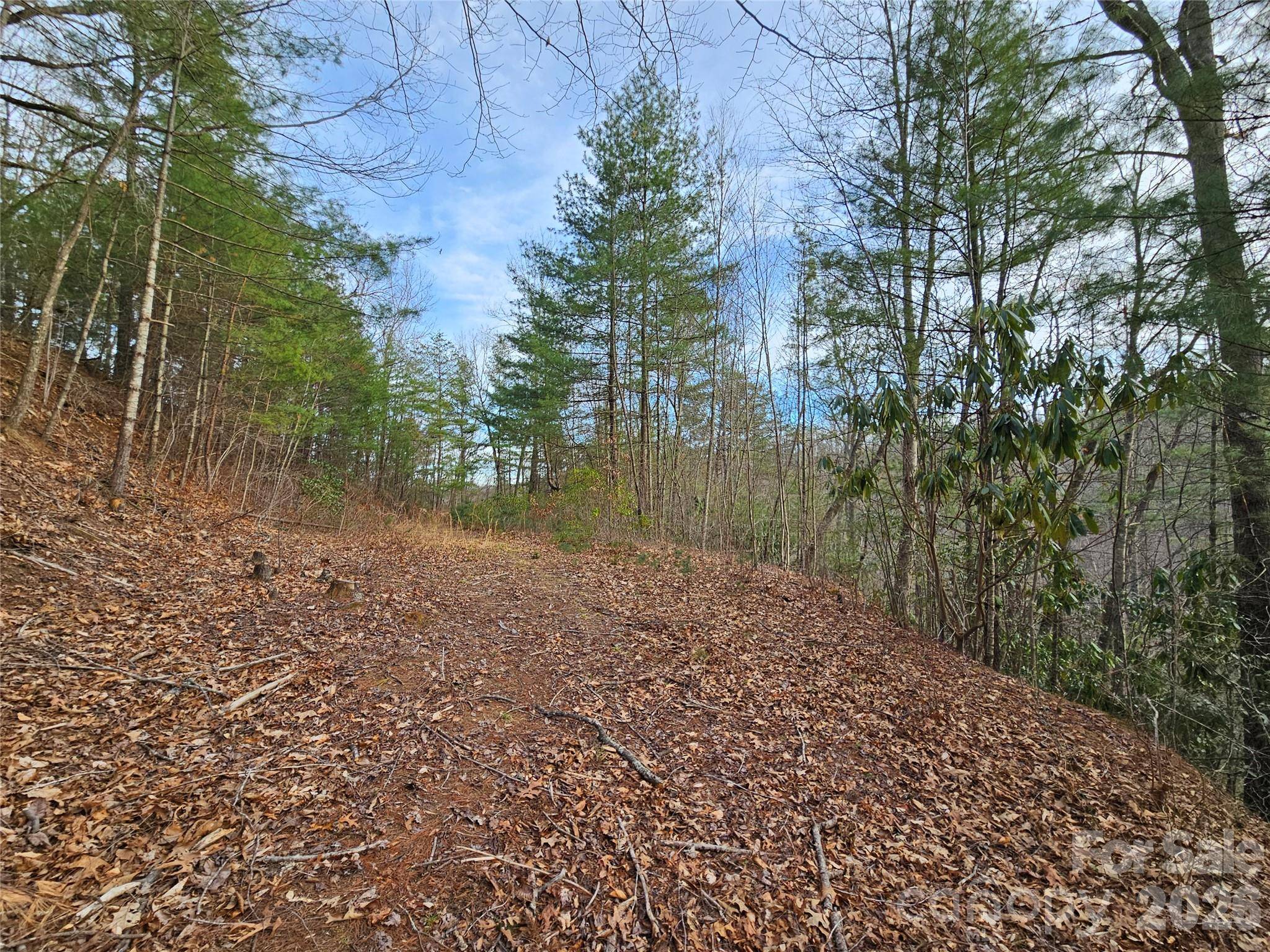 00 Wispy Willow DR #22T, Waynesville, NC 28785