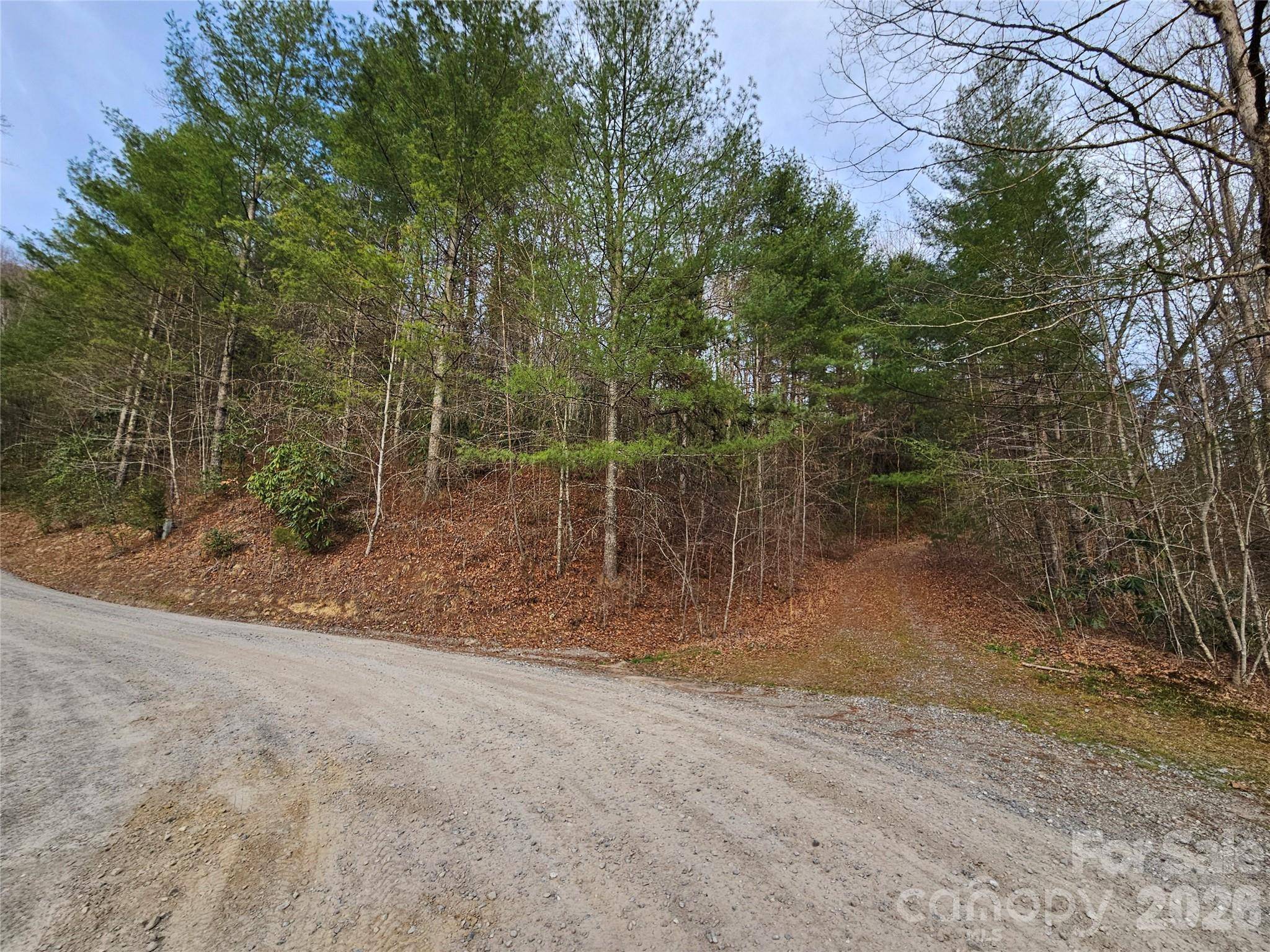 00 Wispy Willow DR #22T, Waynesville, NC 28785