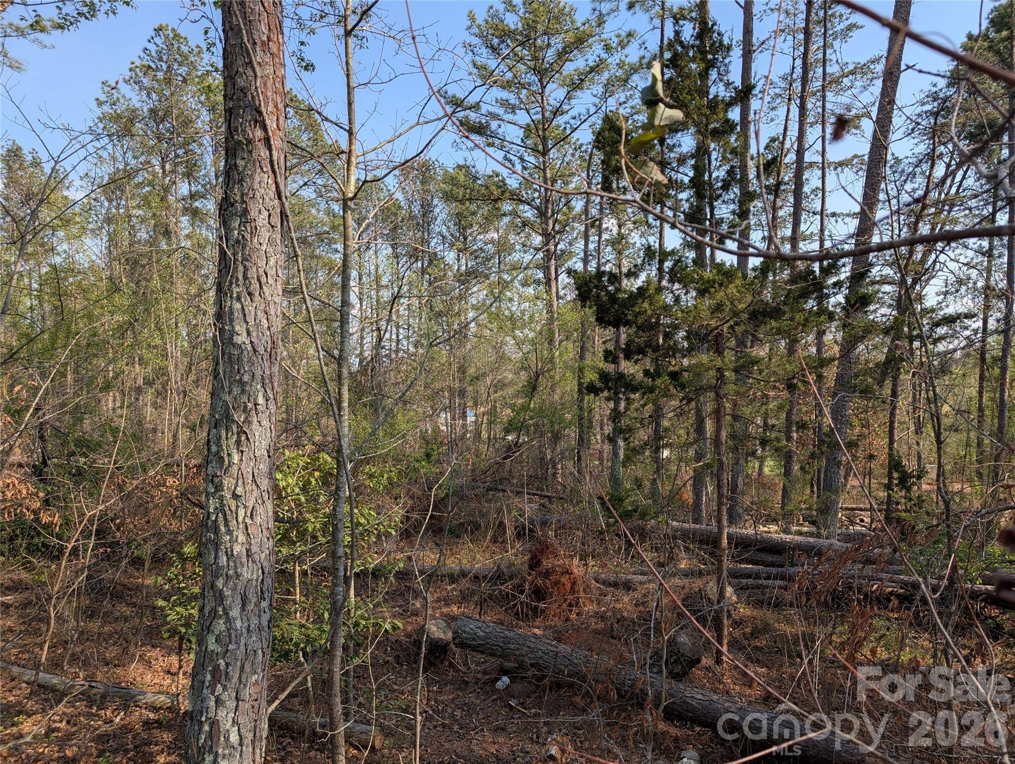 TBD Whitesides RD, Forest City, NC 28043