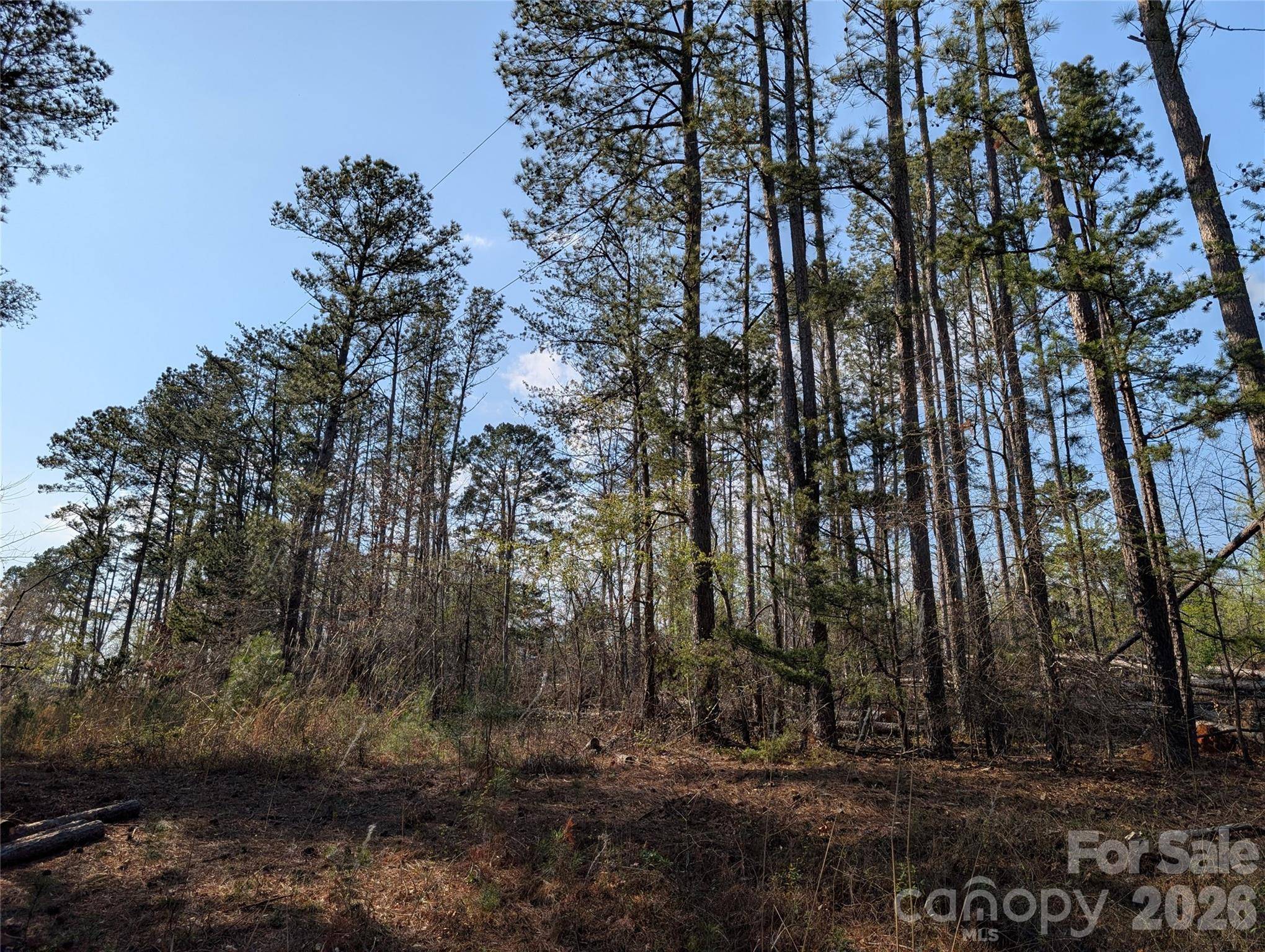 TBD Whitesides RD, Forest City, NC 28043