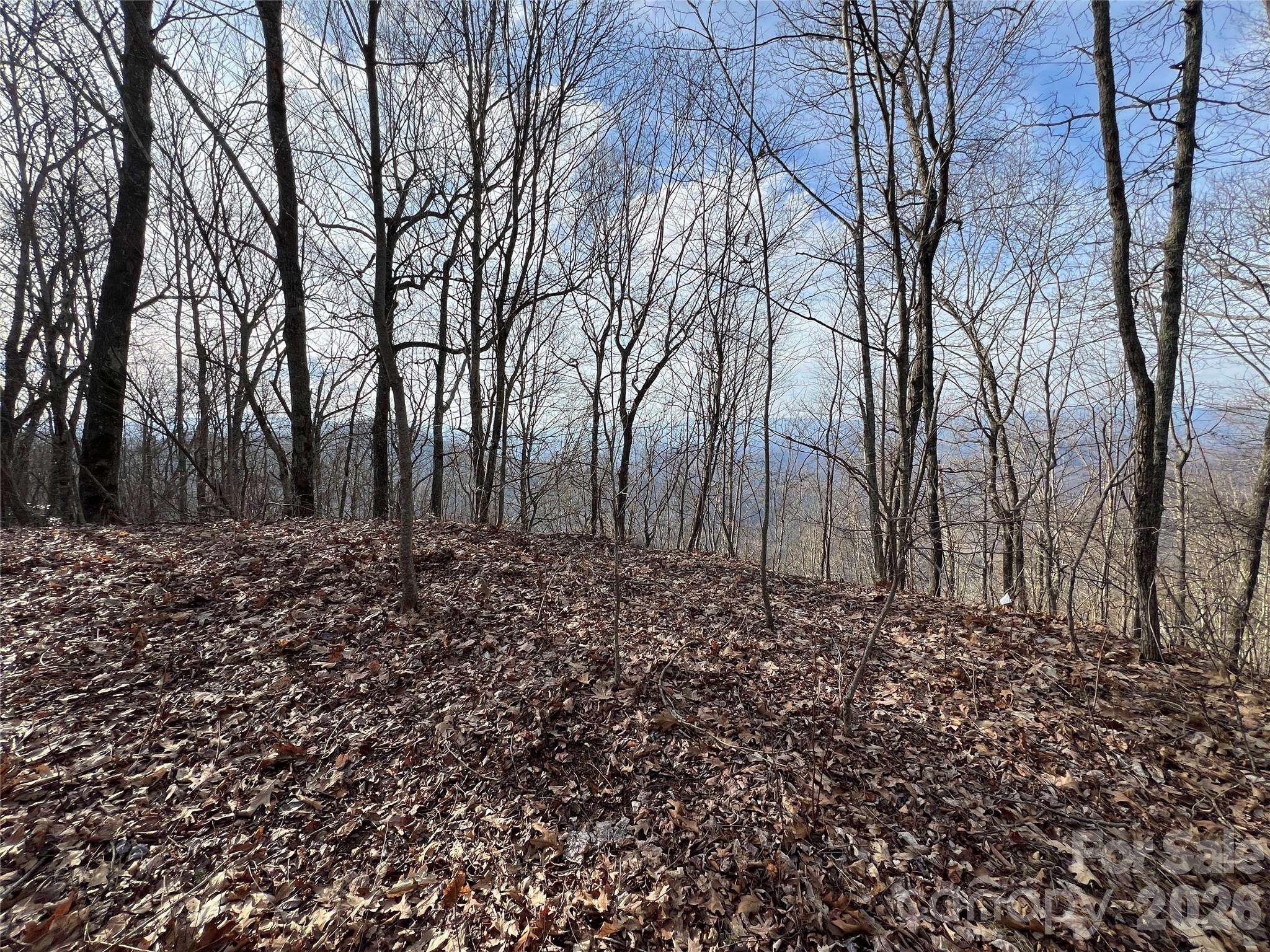 Lot 24/26 Butterfly PATH, Bryson City, NC 28713