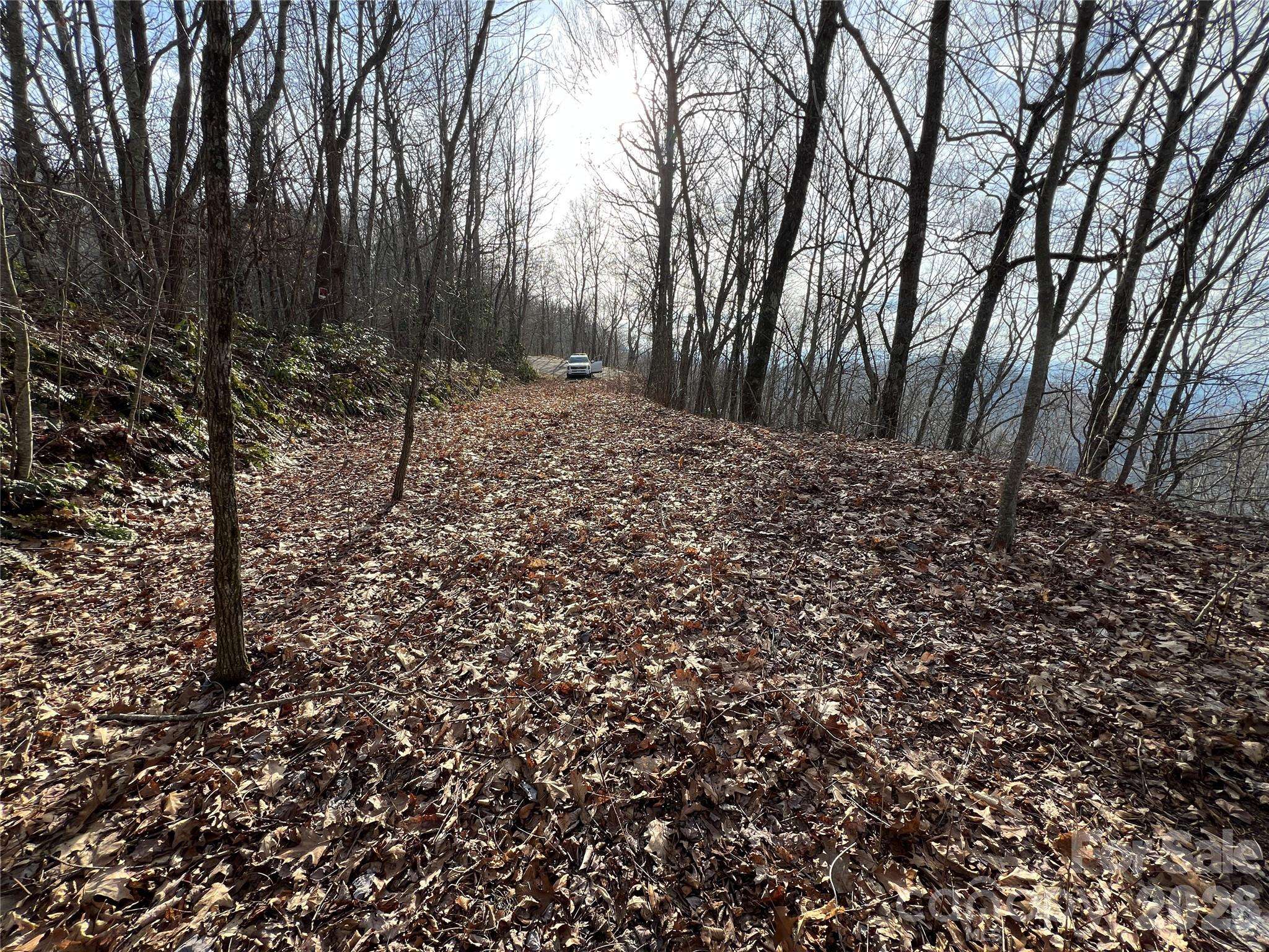 Lot 24/26 Butterfly PATH, Bryson City, NC 28713