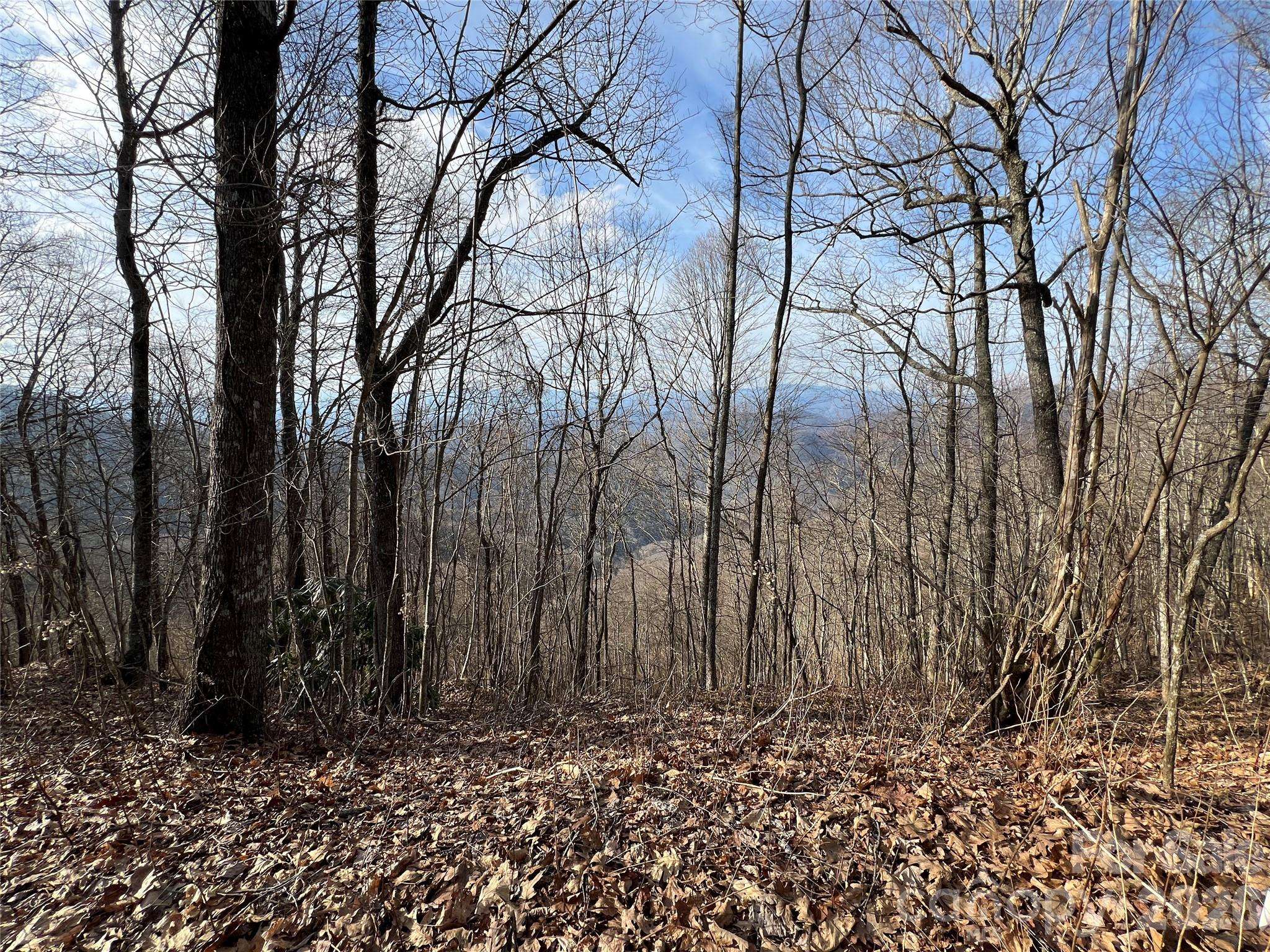 Lot 24/26 Butterfly PATH, Bryson City, NC 28713