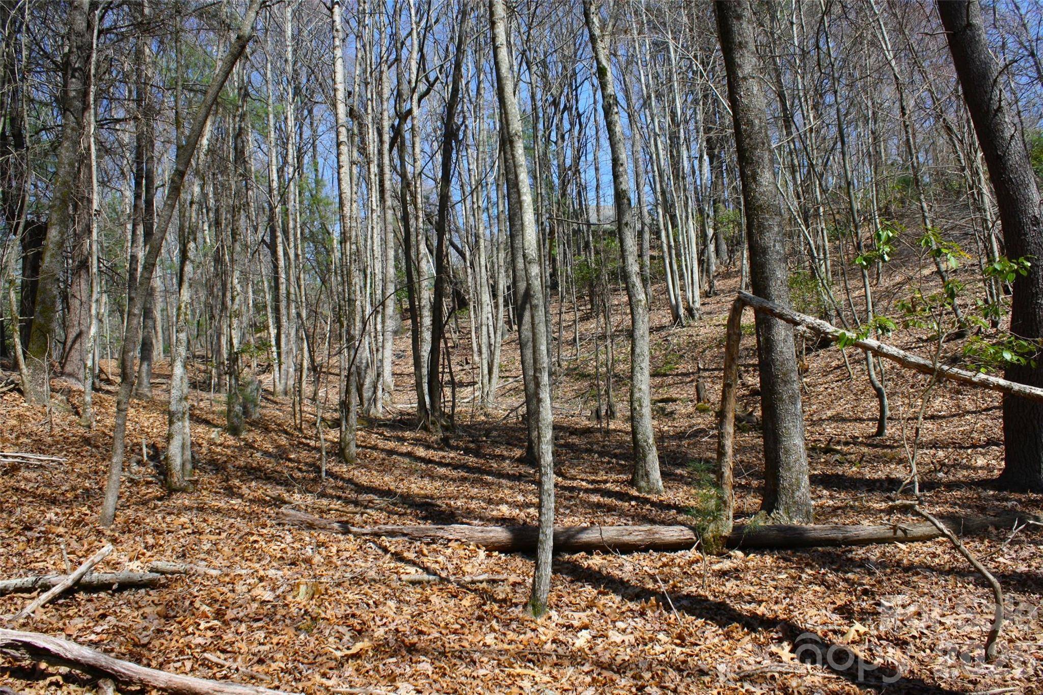 0000 Slick Rock RD, Brevard, NC 28712