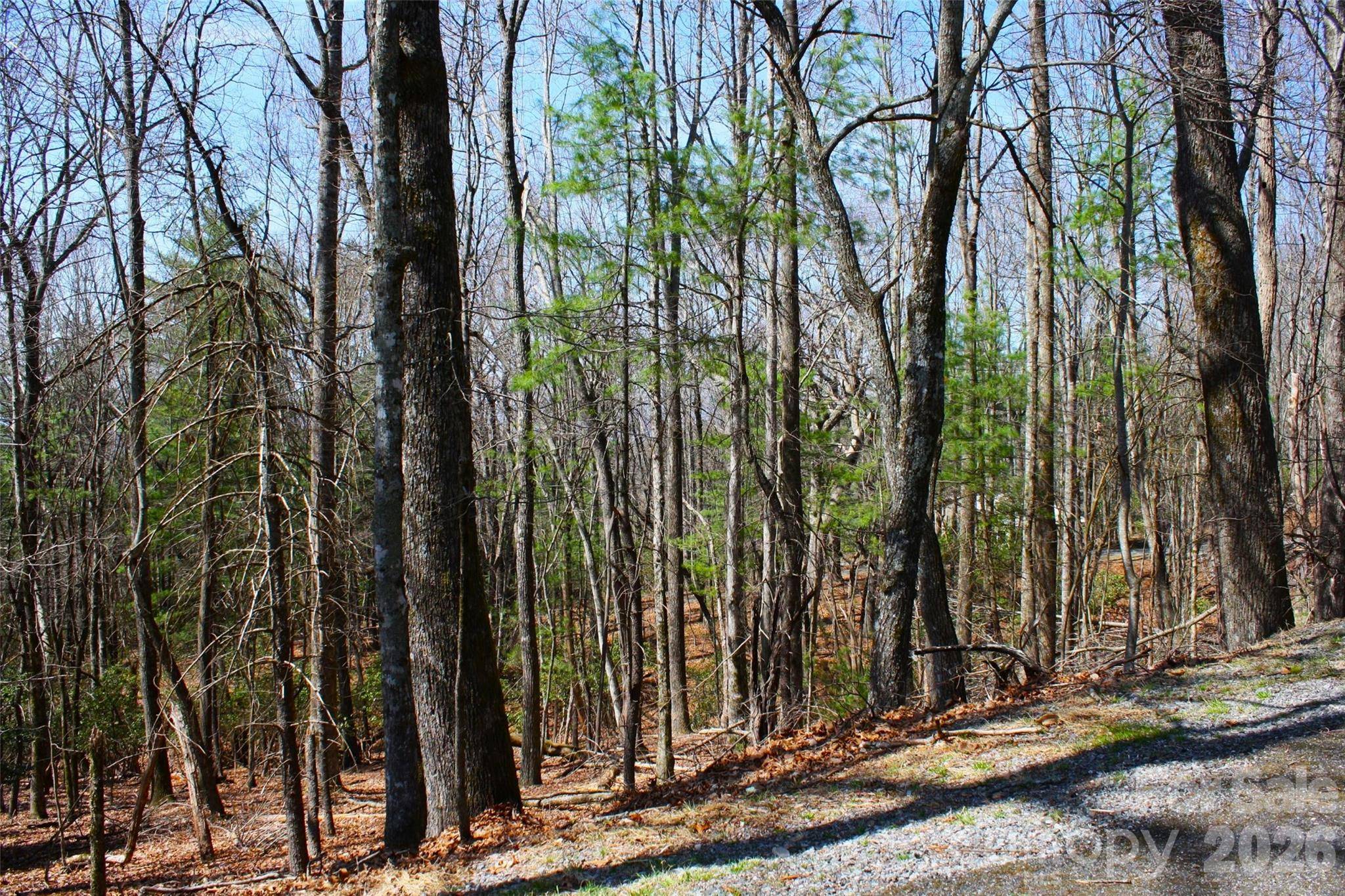 0000 Slick Rock RD, Brevard, NC 28712
