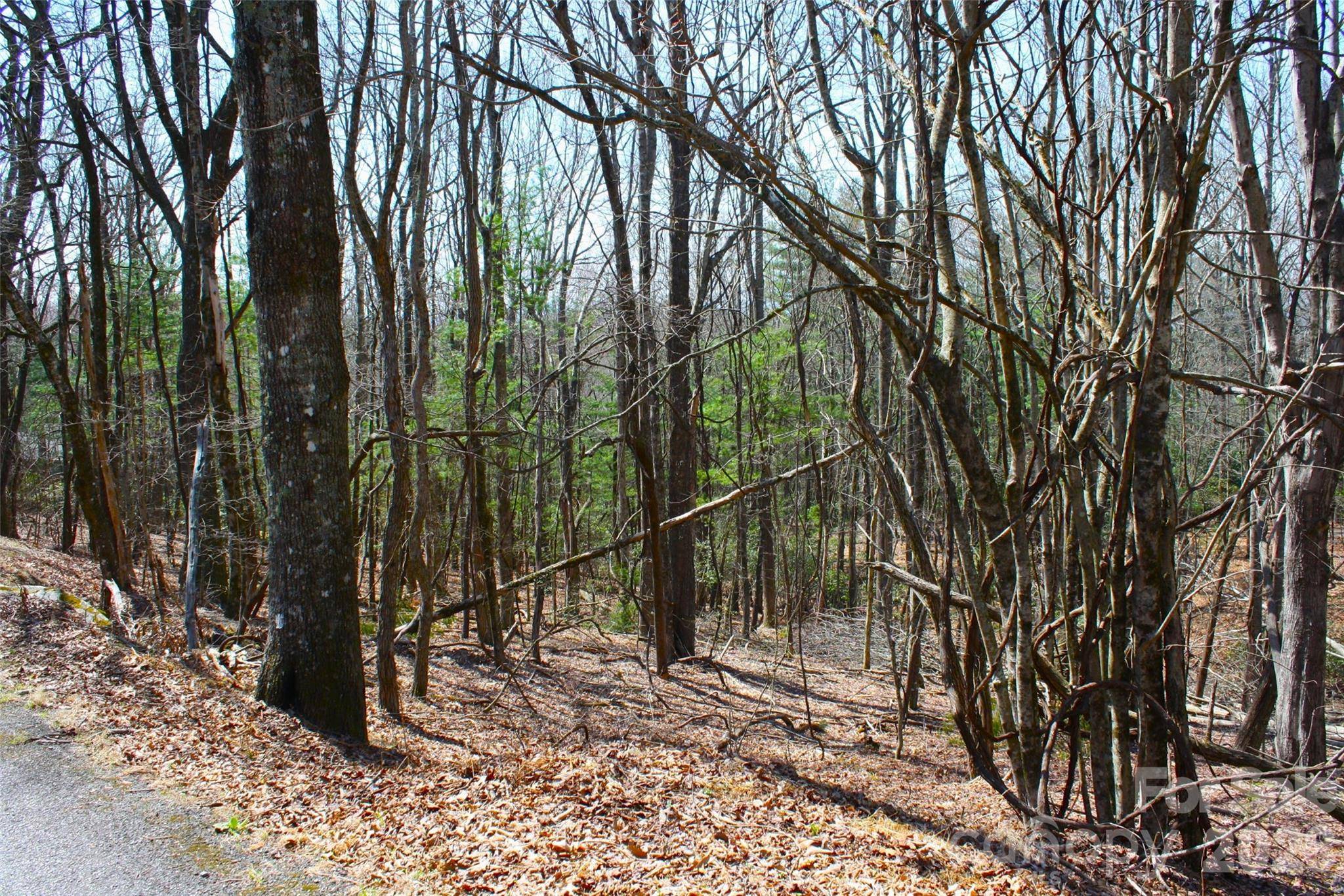 0000 Slick Rock RD, Brevard, NC 28712