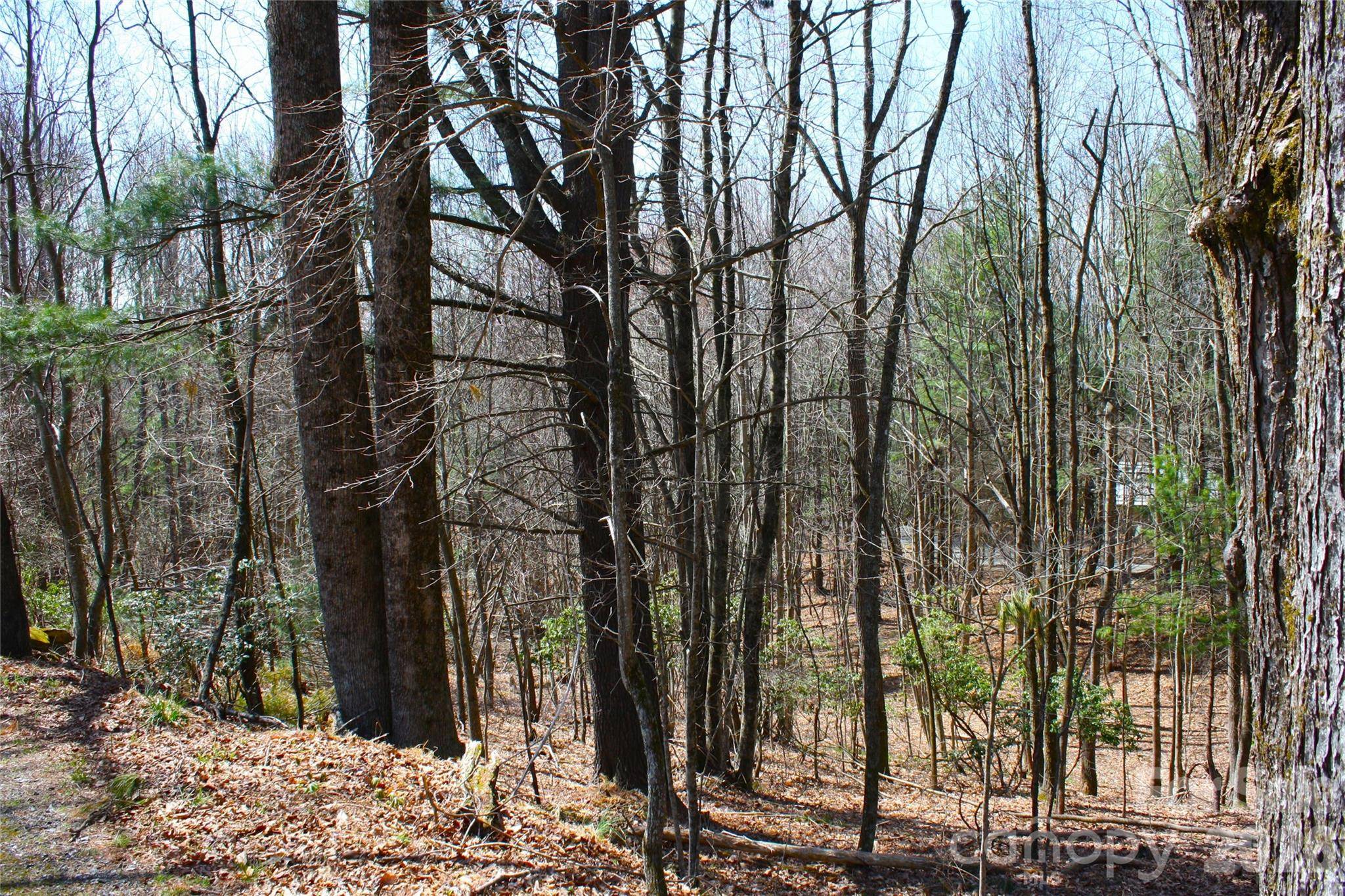 0000 Slick Rock RD, Brevard, NC 28712
