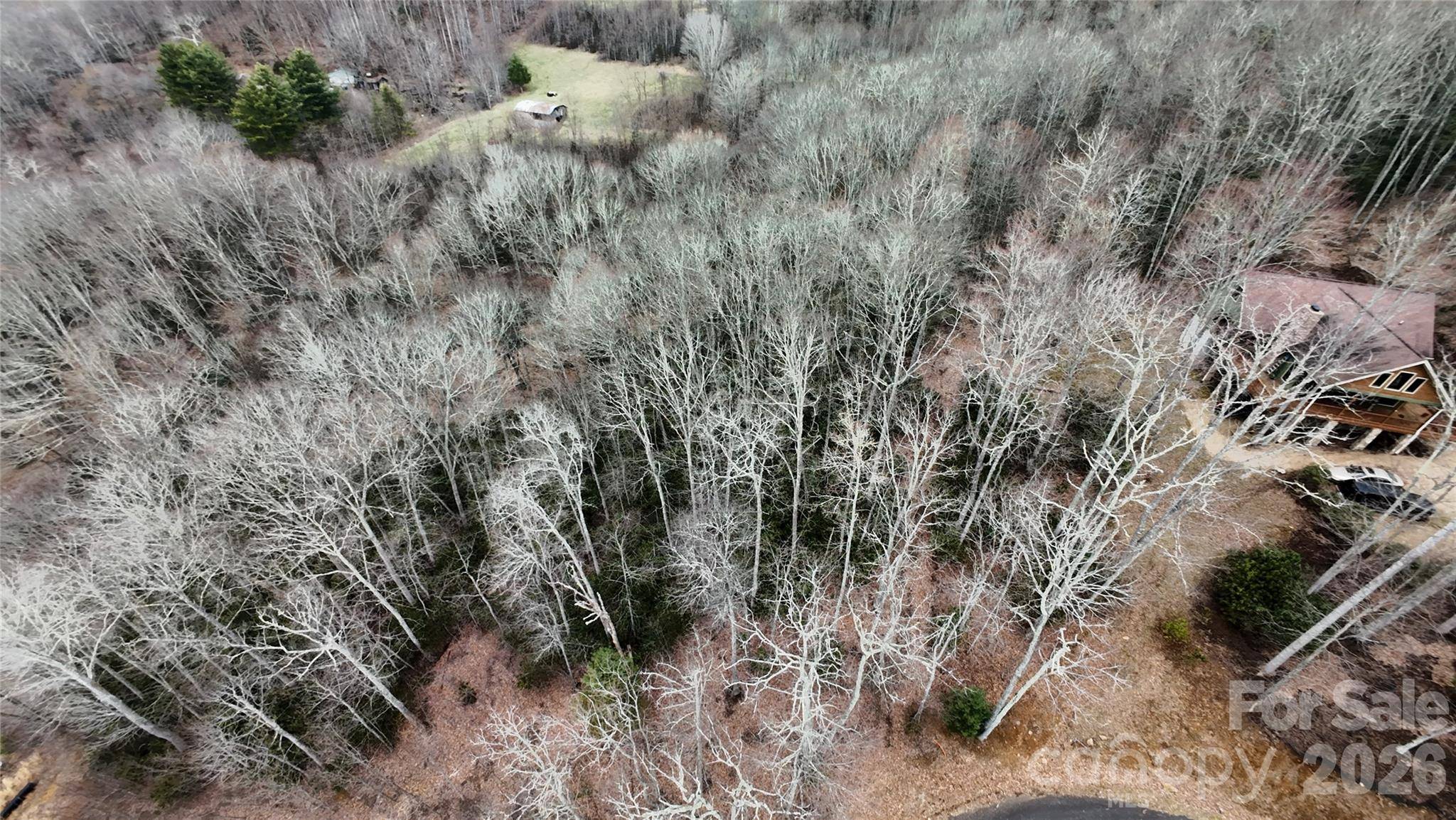 TBD Vineyards Retreat RD #14, Newland, NC 28657