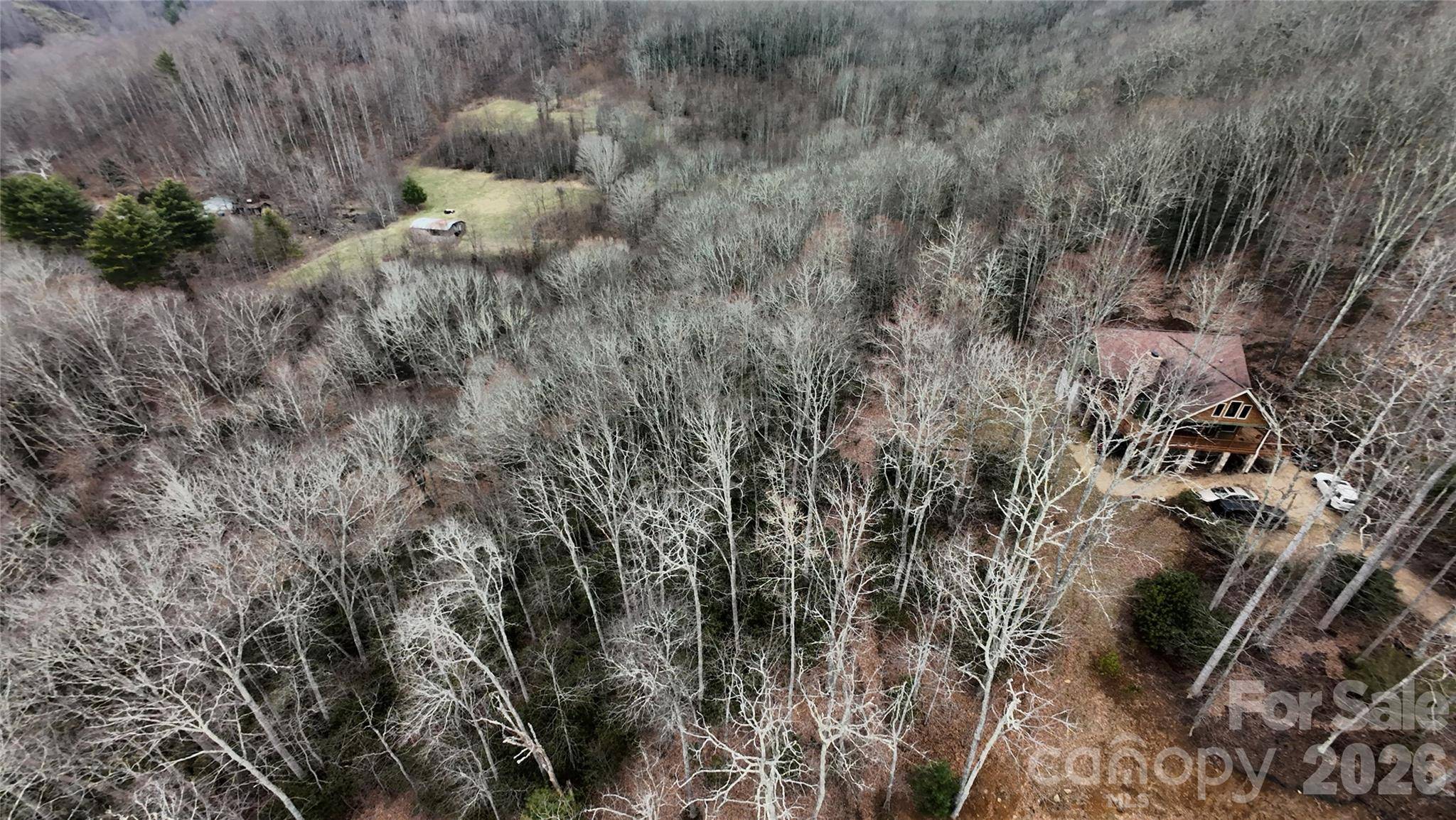 TBD Vineyards Retreat RD #14, Newland, NC 28657