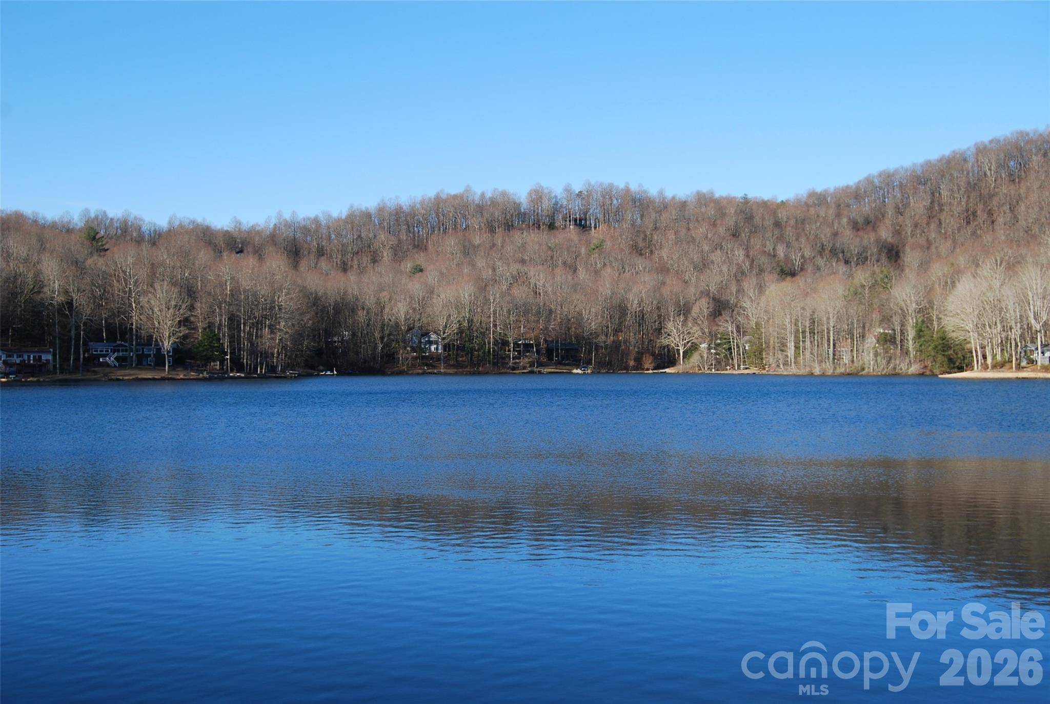 87 Pole Cat RD, Saluda, NC 28773