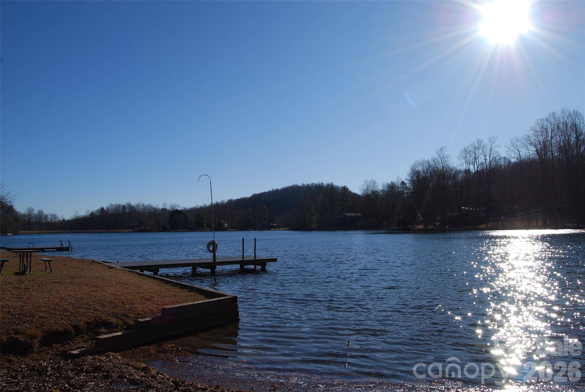 87 Pole Cat RD, Saluda, NC 28773