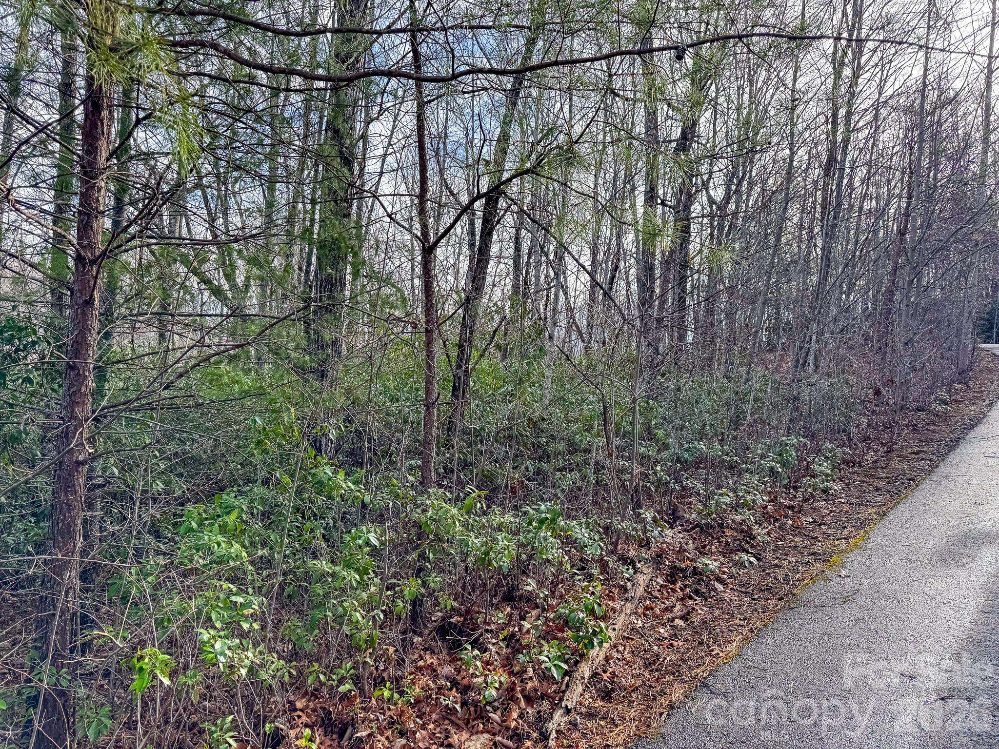 9999 Rainbow Falls TRL, Black Mountain, NC 28711