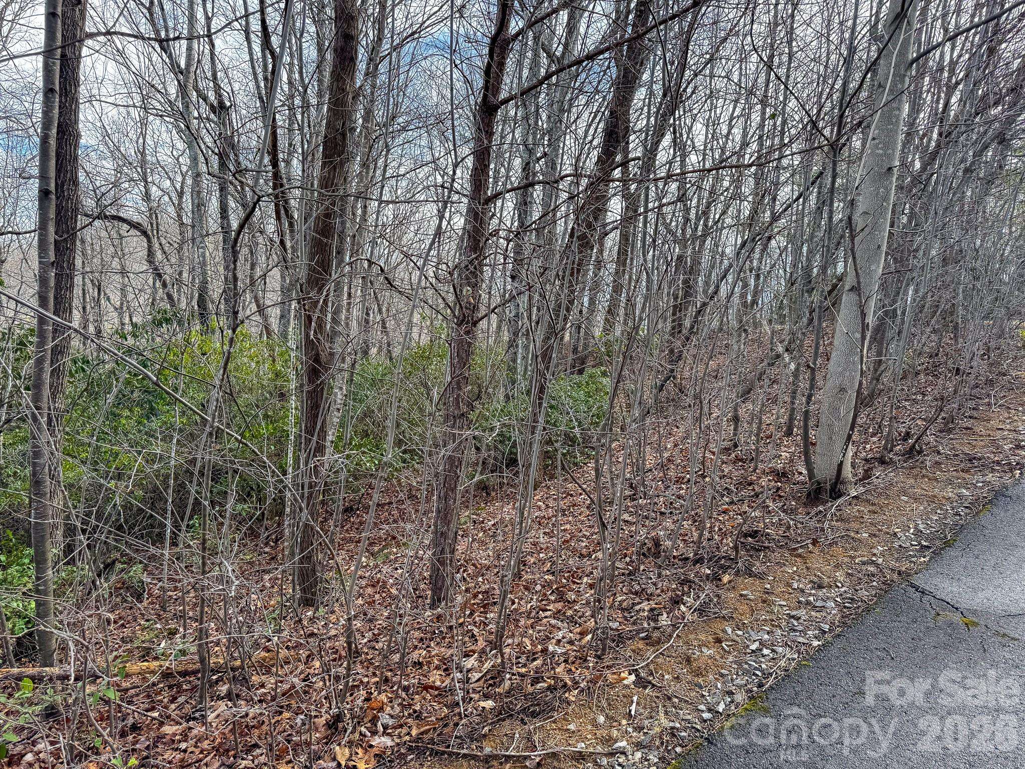 9999 Rainbow Falls TRL, Black Mountain, NC 28711