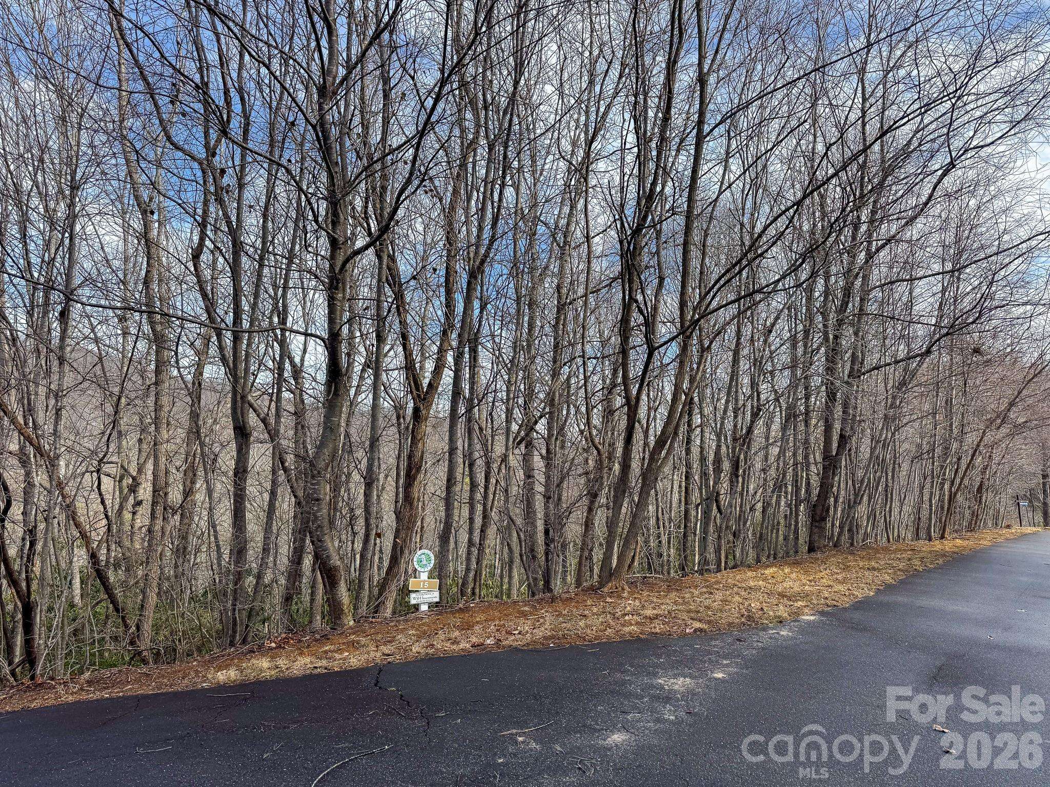 9999 Rainbow Falls TRL, Black Mountain, NC 28711