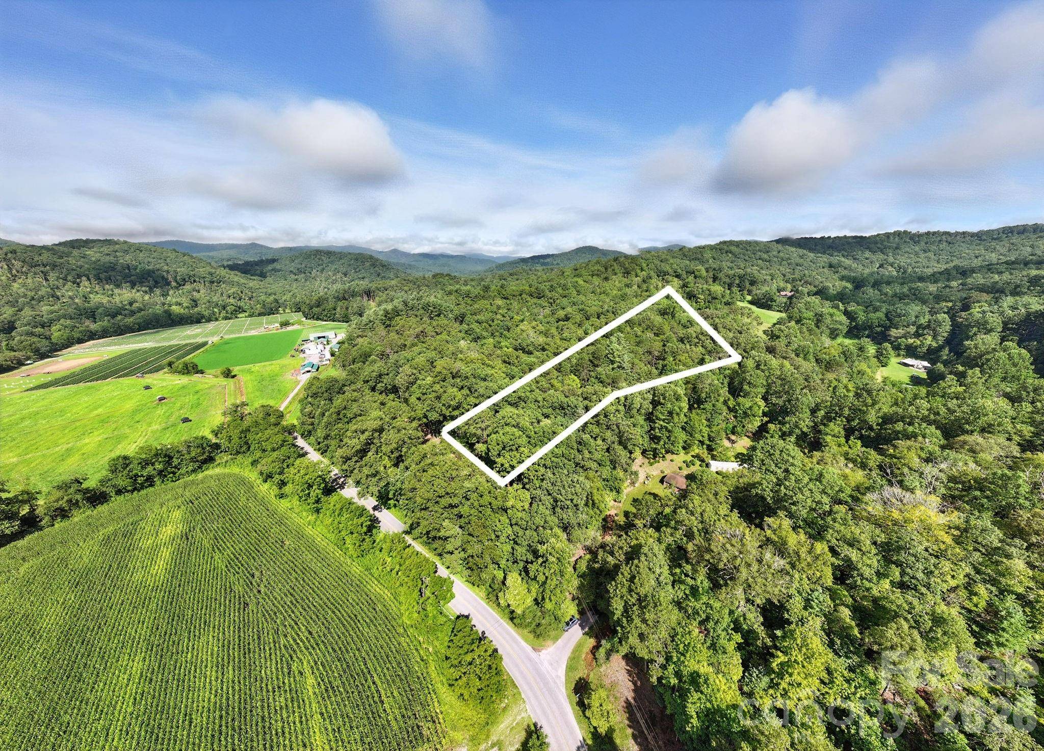 0000 Mullinax Cove RD, Mills River, NC 28759