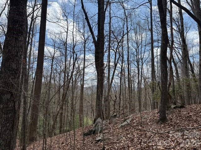 158 Chattooga RUN #402, Hendersonville, NC 28739