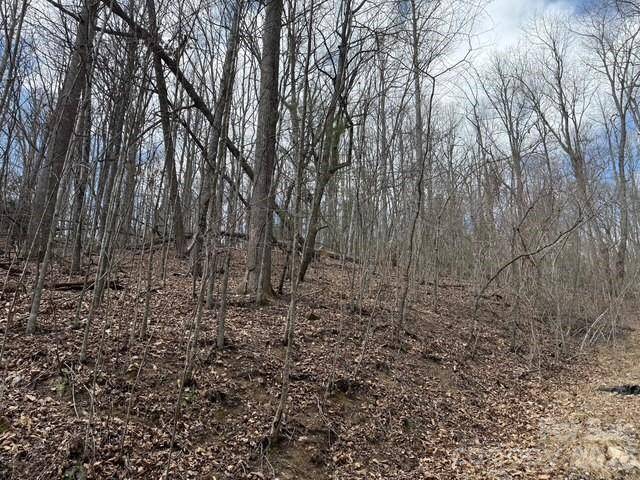 158 Chattooga RUN #402, Hendersonville, NC 28739