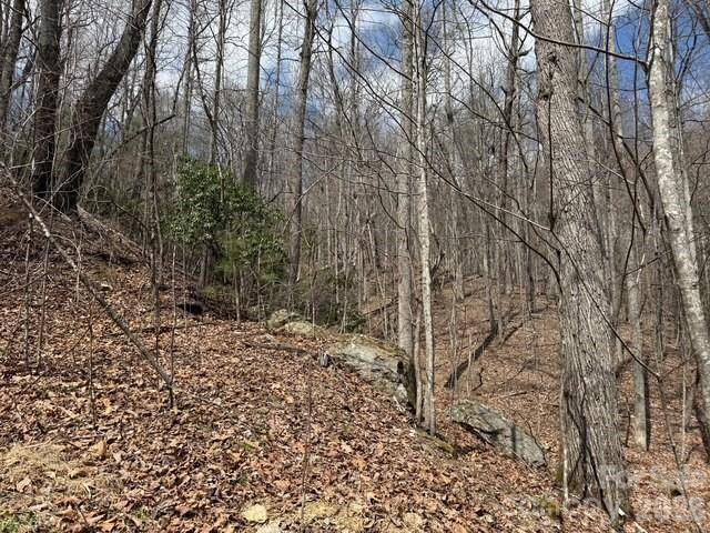 158 Chattooga RUN #402, Hendersonville, NC 28739
