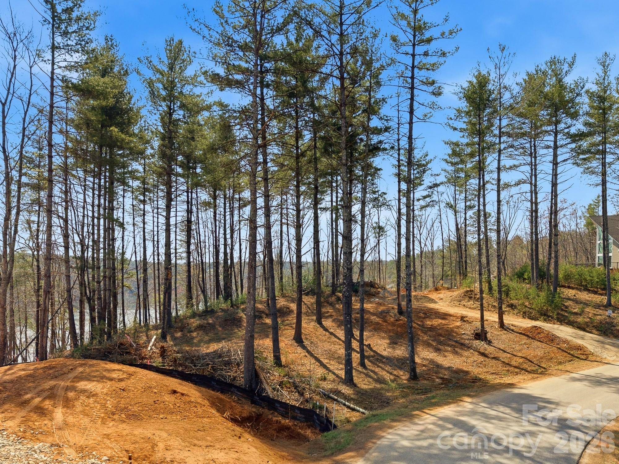 291 S Crest View ST, Nebo, NC 28761