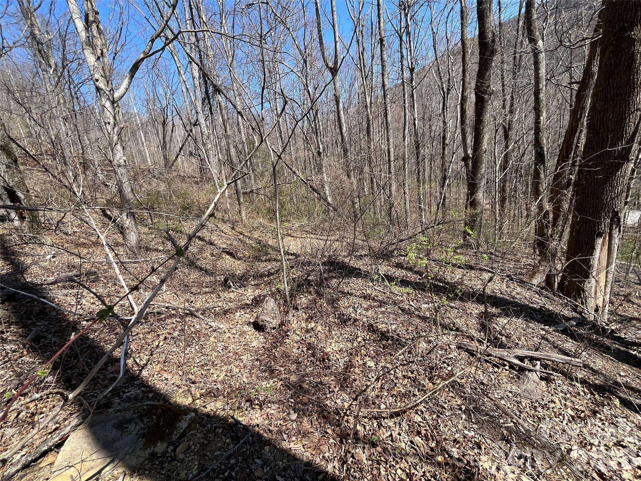 182 Old Mountain PASS, Hendersonville, NC 28792
