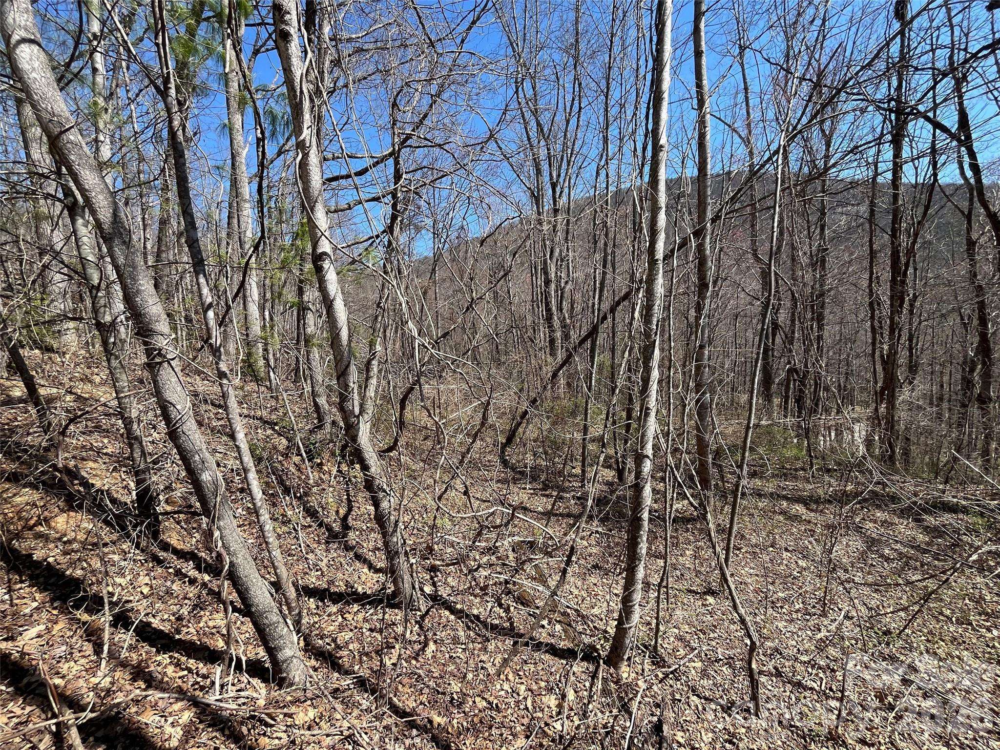 182 Old Mountain PASS, Hendersonville, NC 28792