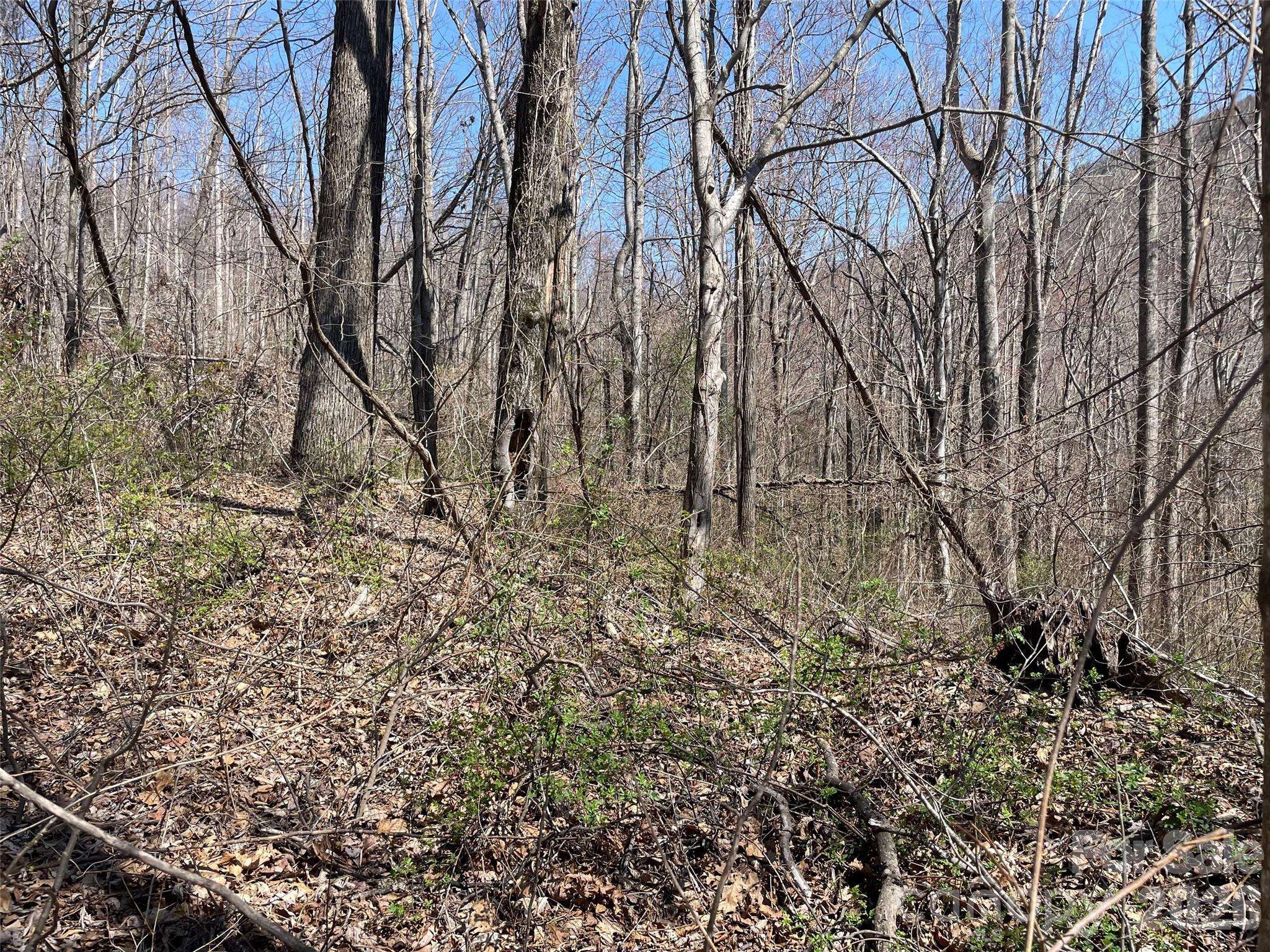 182 Old Mountain PASS, Hendersonville, NC 28792