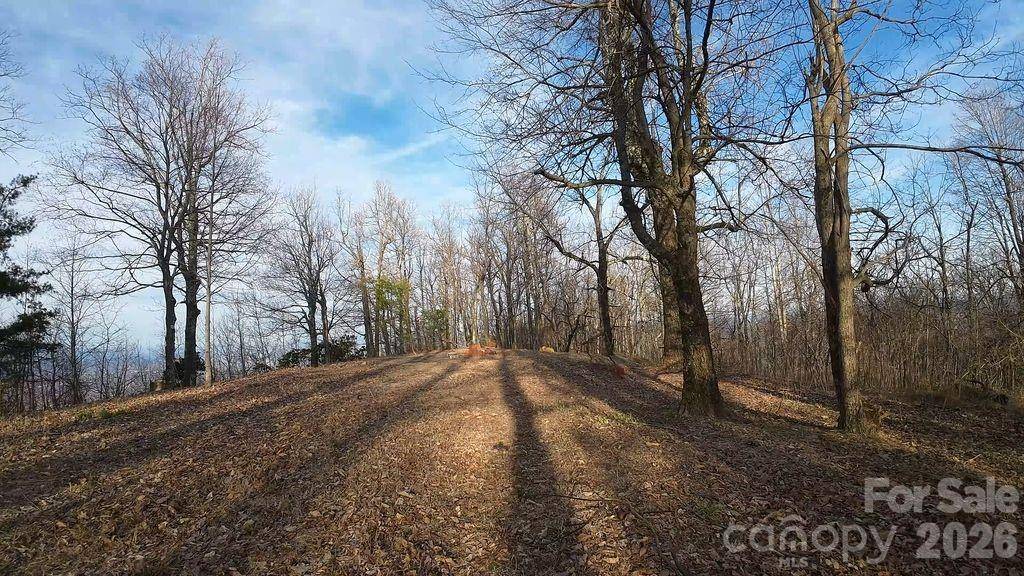 7400 Burkemont RD, Morganton, NC 28655