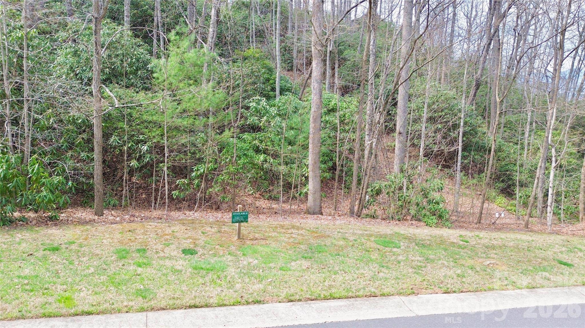 21 Settings BLVD #40, Black Mountain, NC 28711