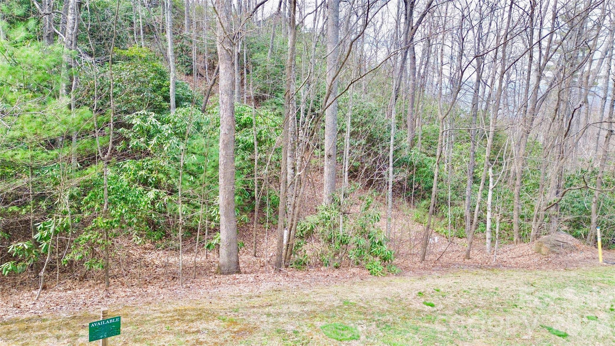21 Settings BLVD #40, Black Mountain, NC 28711