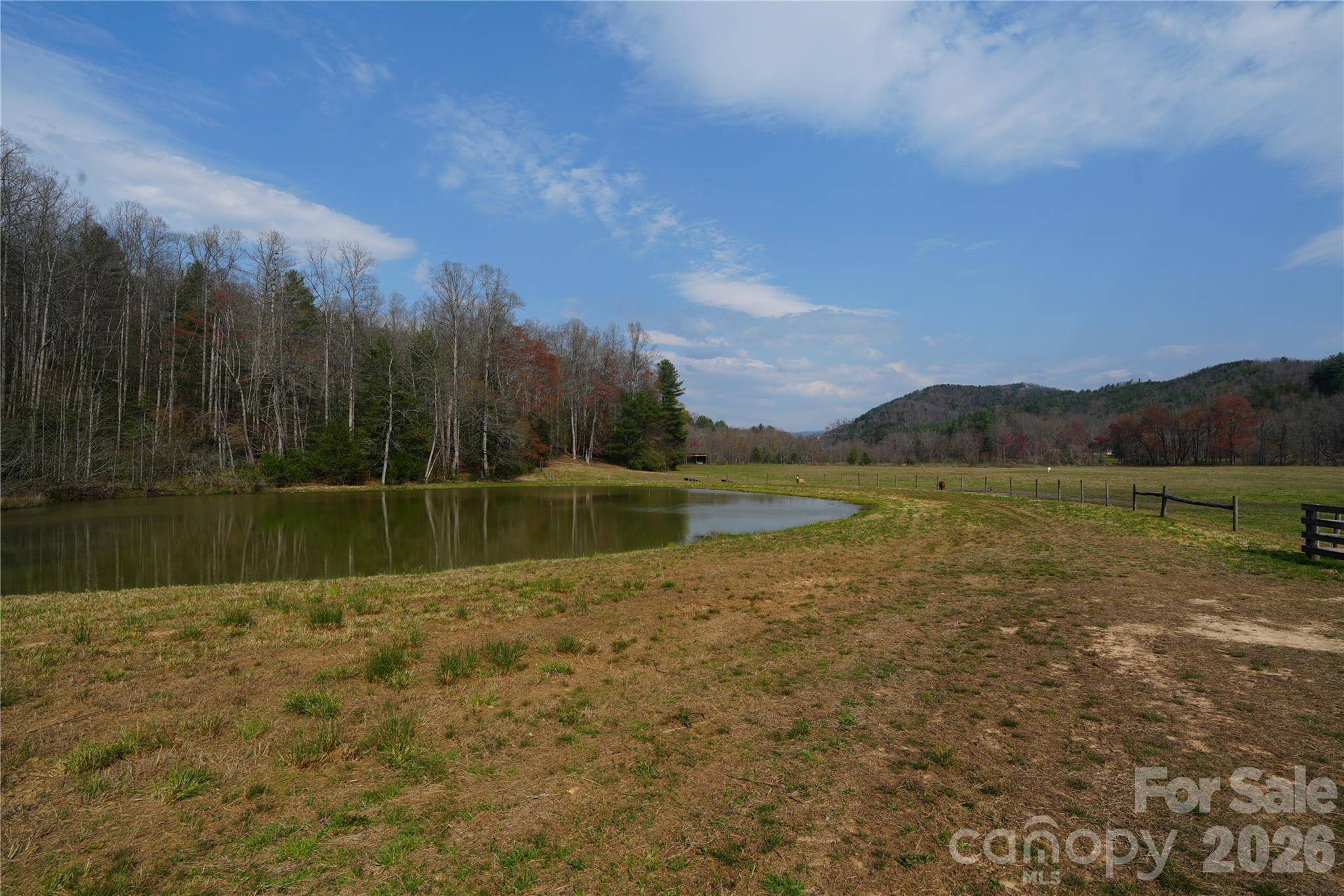 316 Lewis Fork Baptist Church RD, Purlear, NC 28665