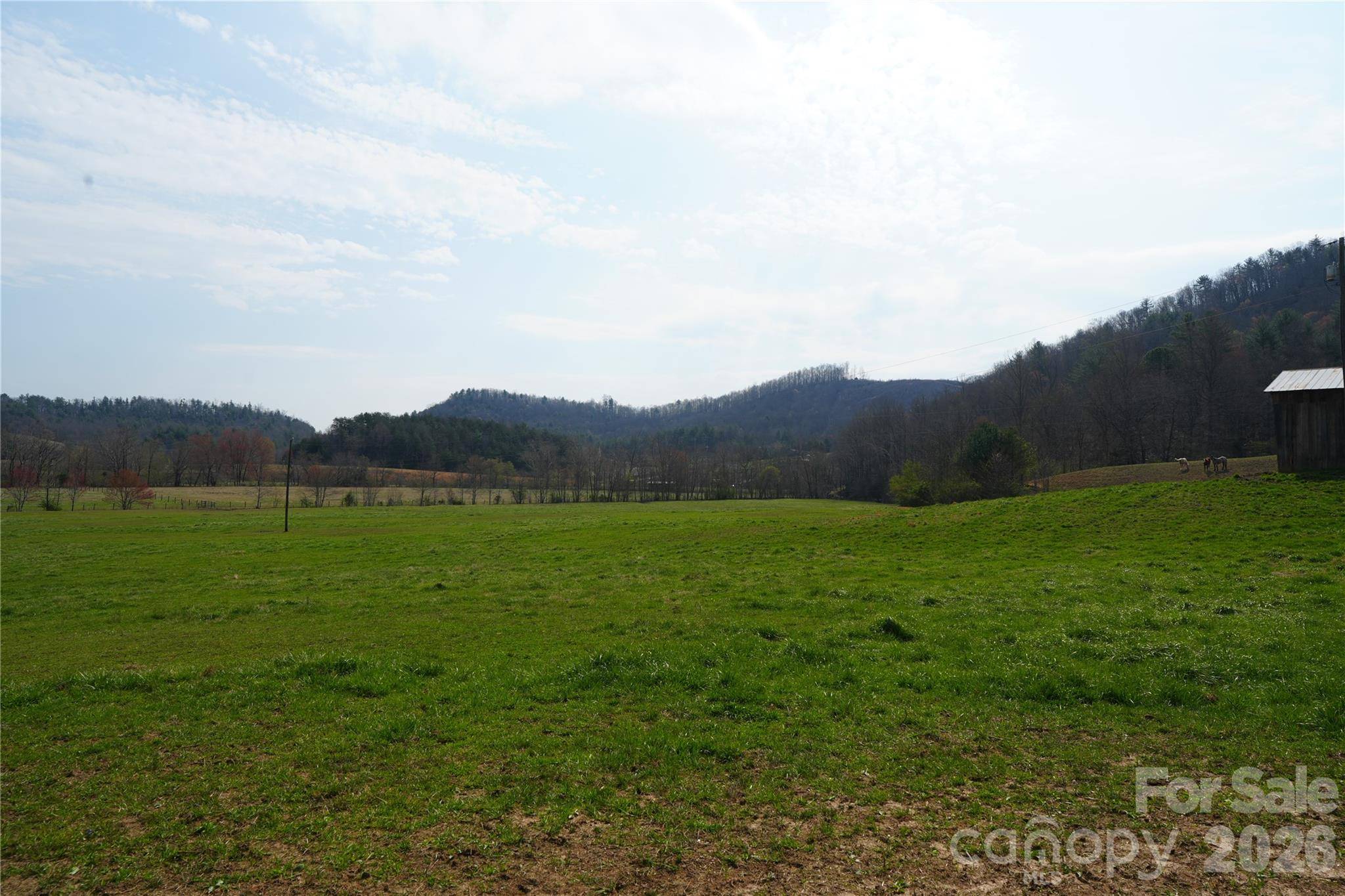 316 Lewis Fork Baptist Church RD, Purlear, NC 28665