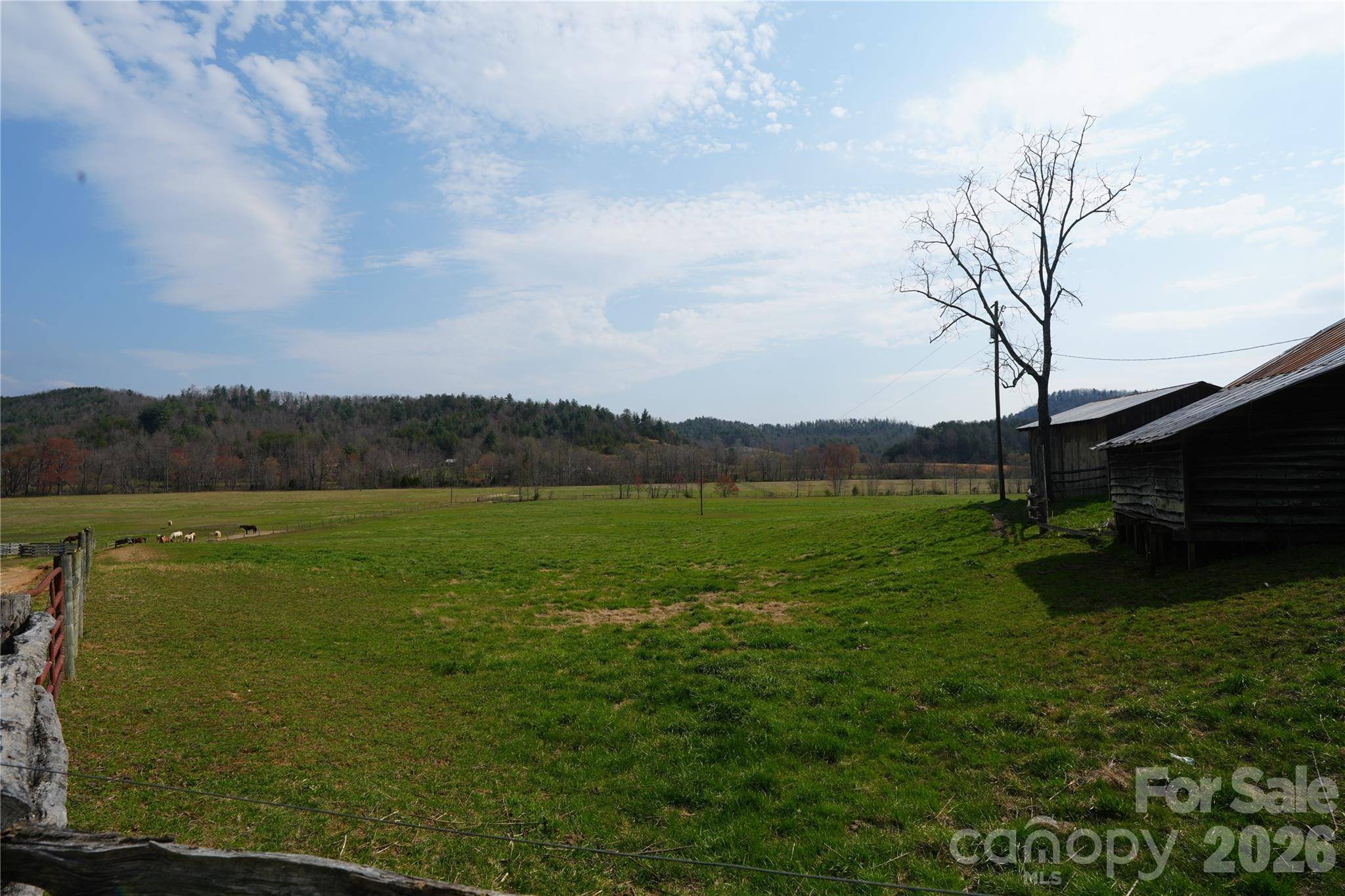 316 Lewis Fork Baptist Church RD, Purlear, NC 28665